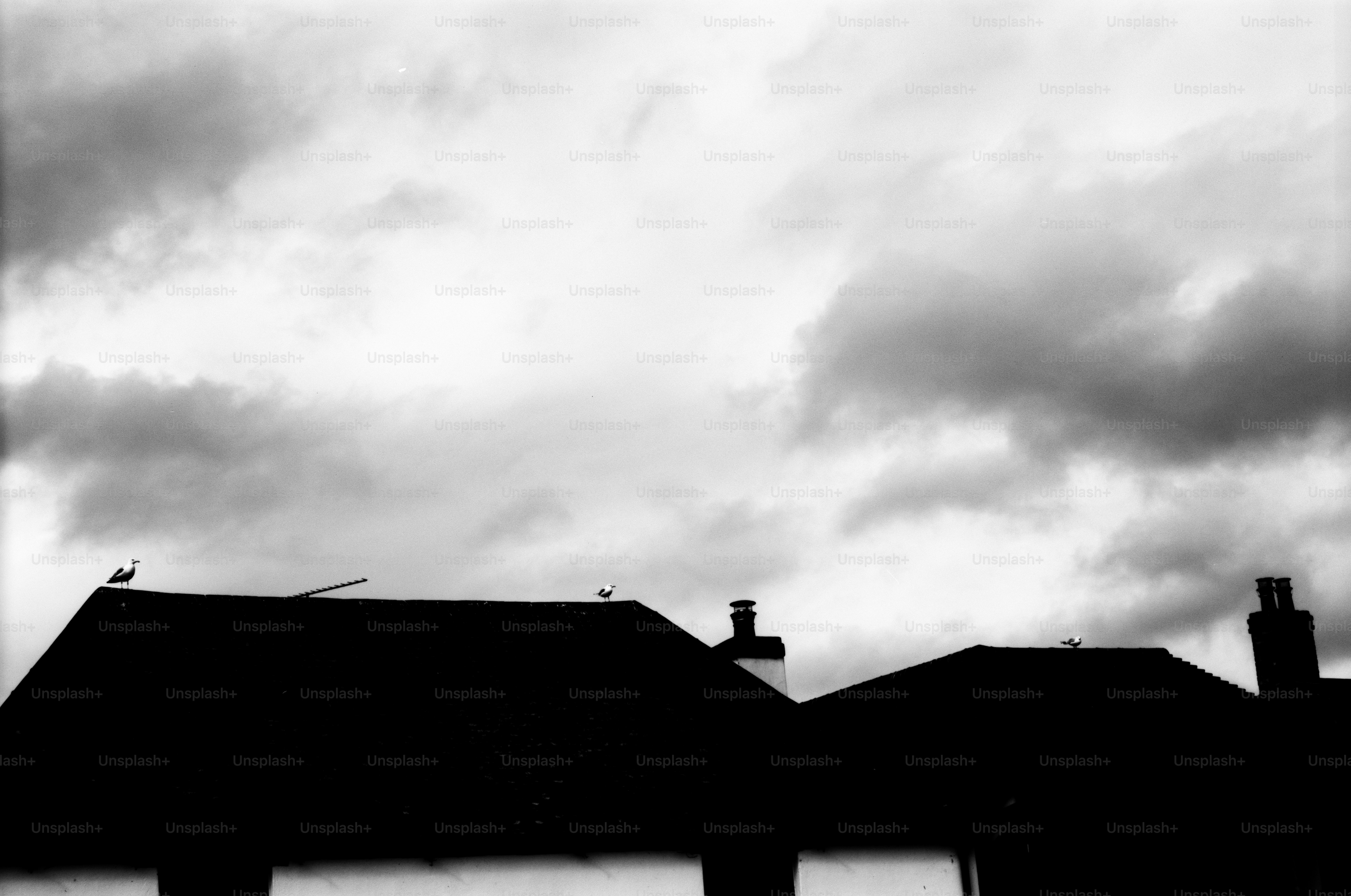 Silhouetted rooftops against a cloudy sky