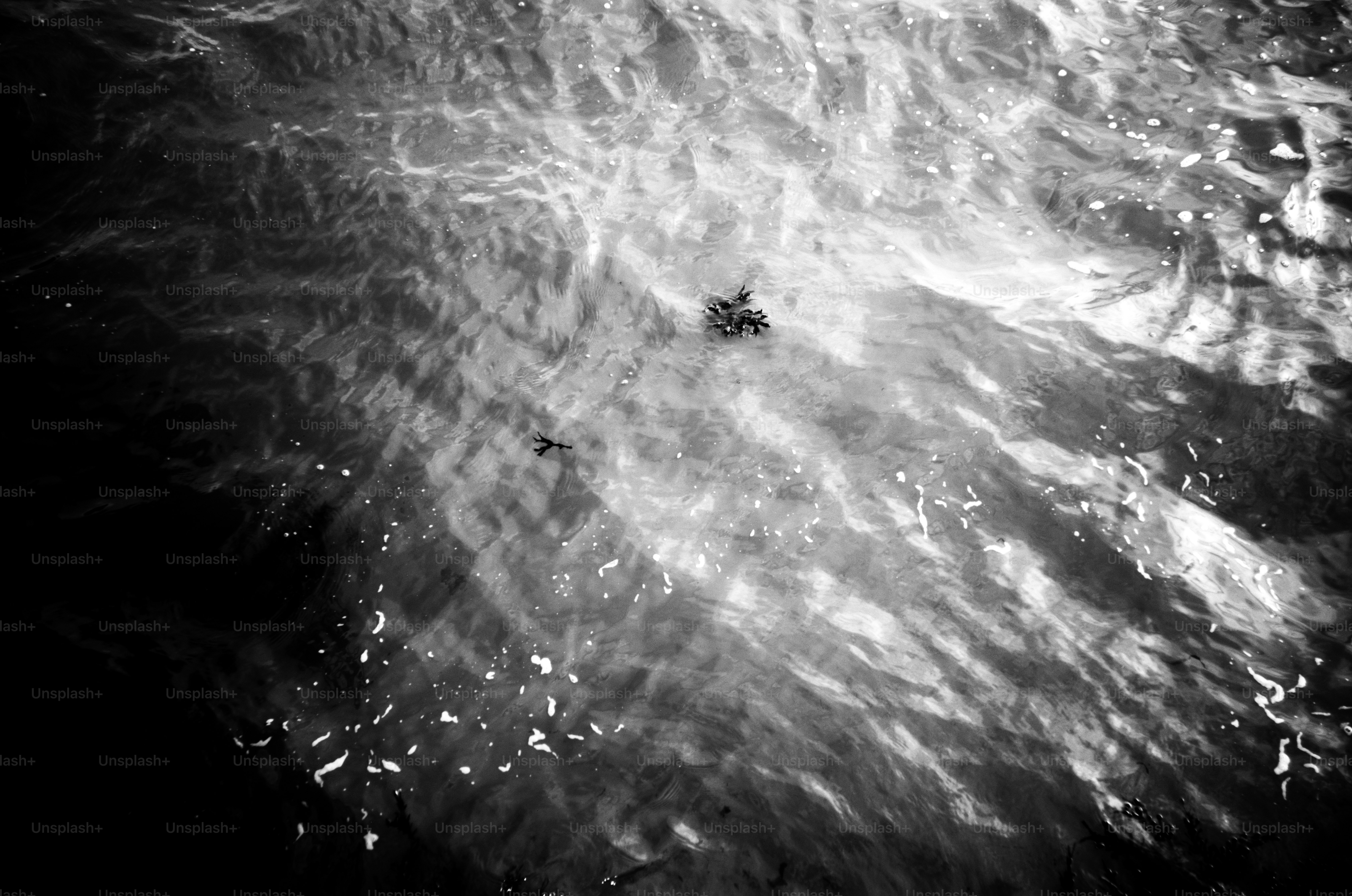 Black and white abstract of water surface patterns