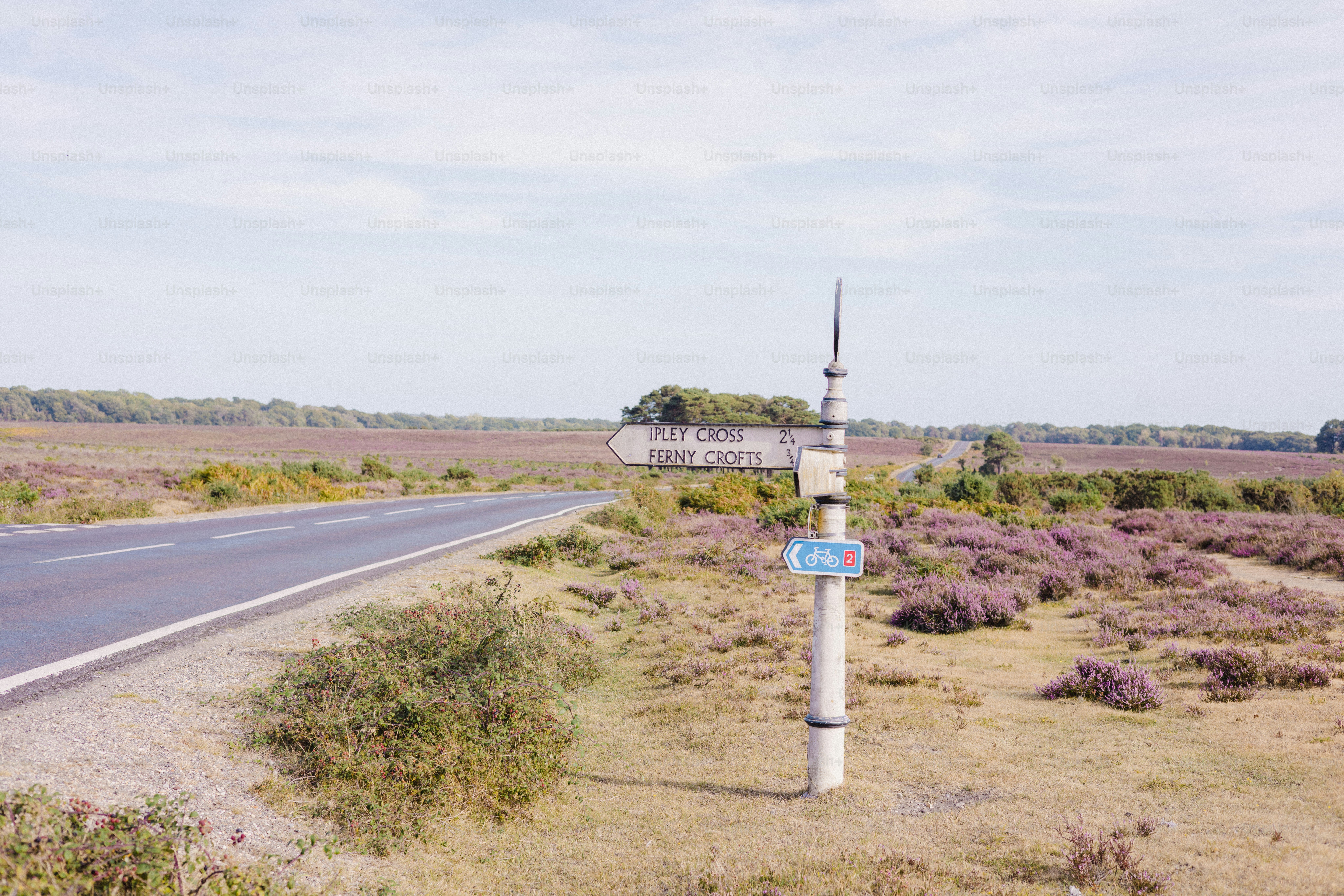 Roadside signpost in a field of purple heather