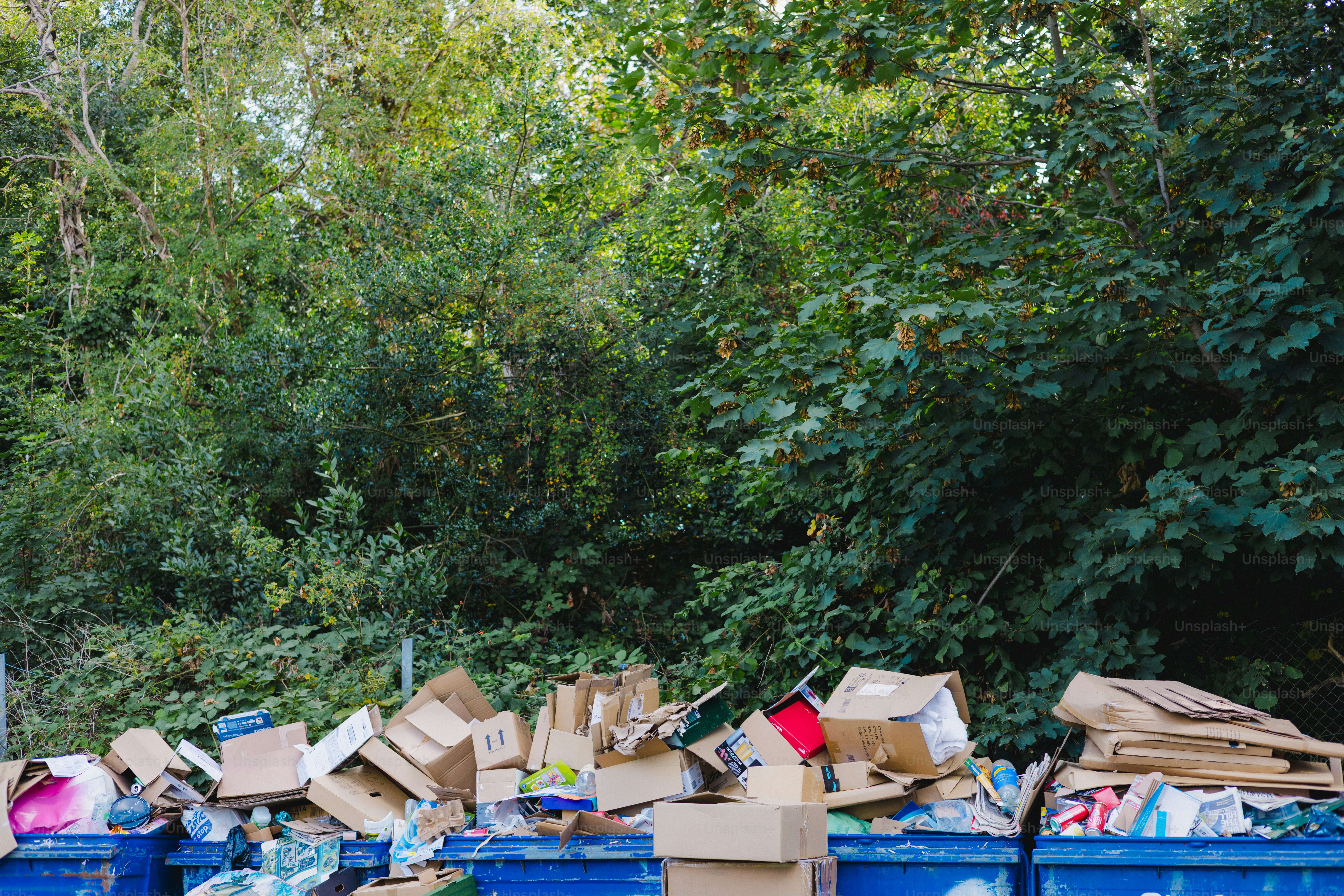 Cardboard boxes piled in blue dumpsters near trees