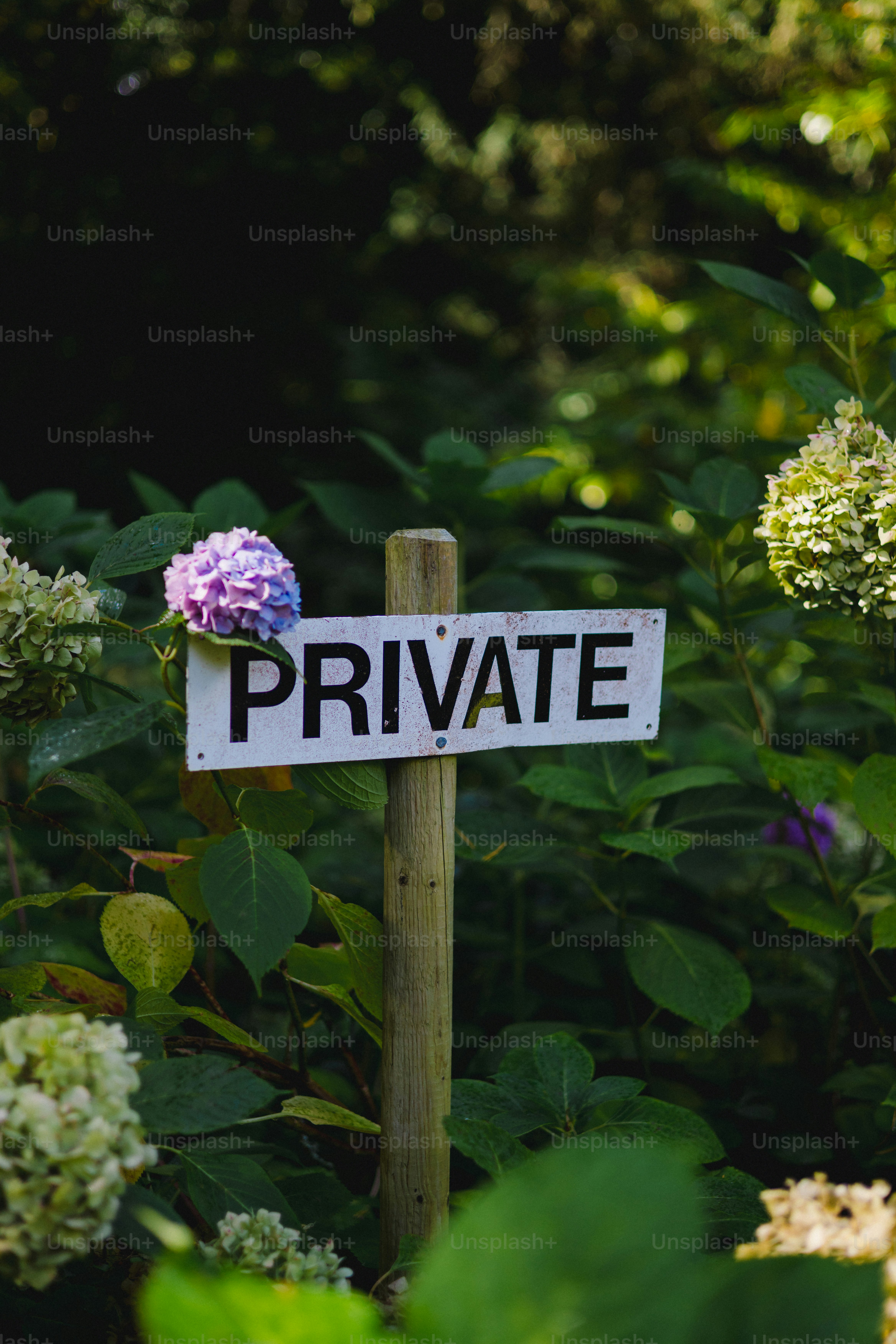 Private sign in a garden with flowers