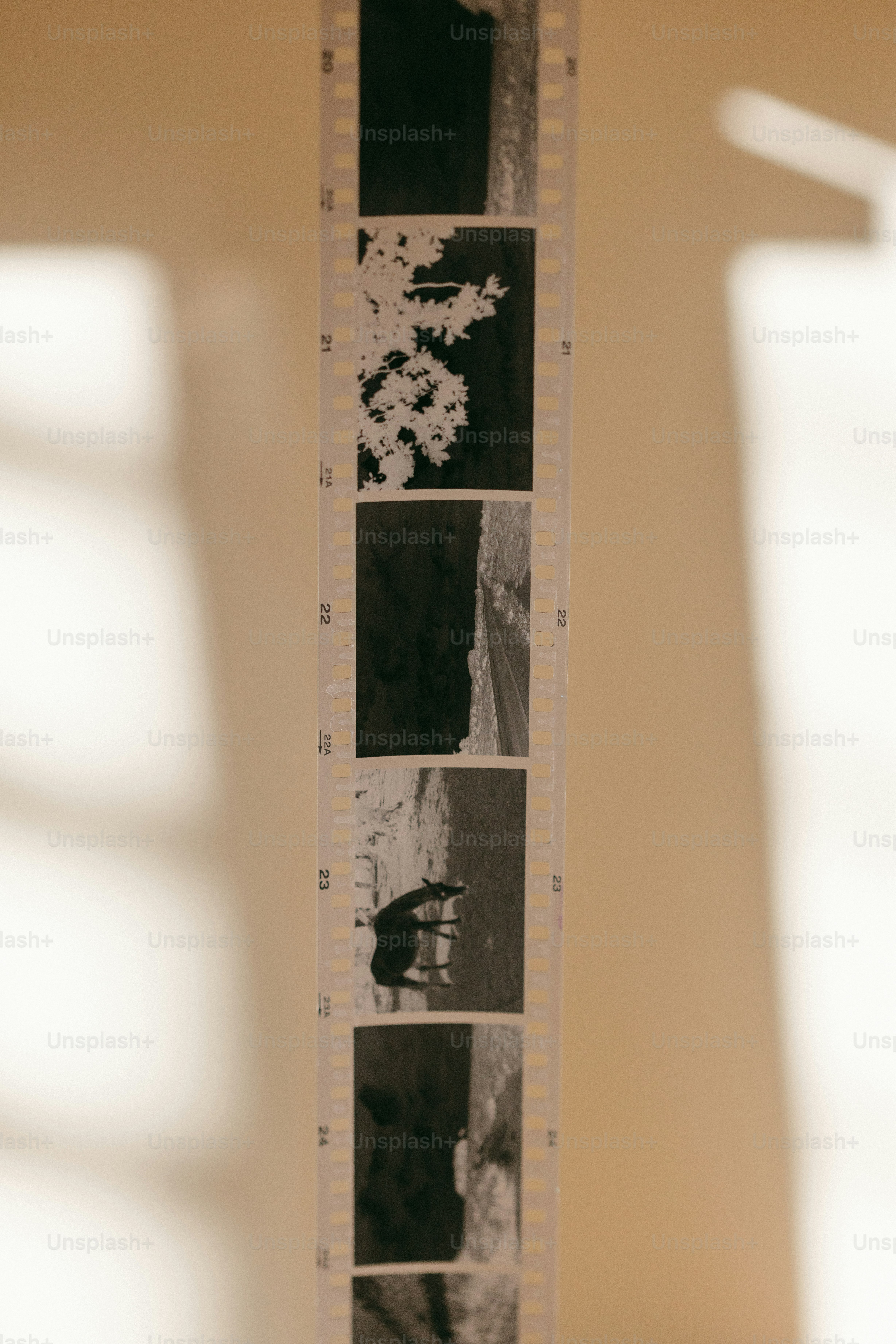 Black and white film strip with multiple frames.