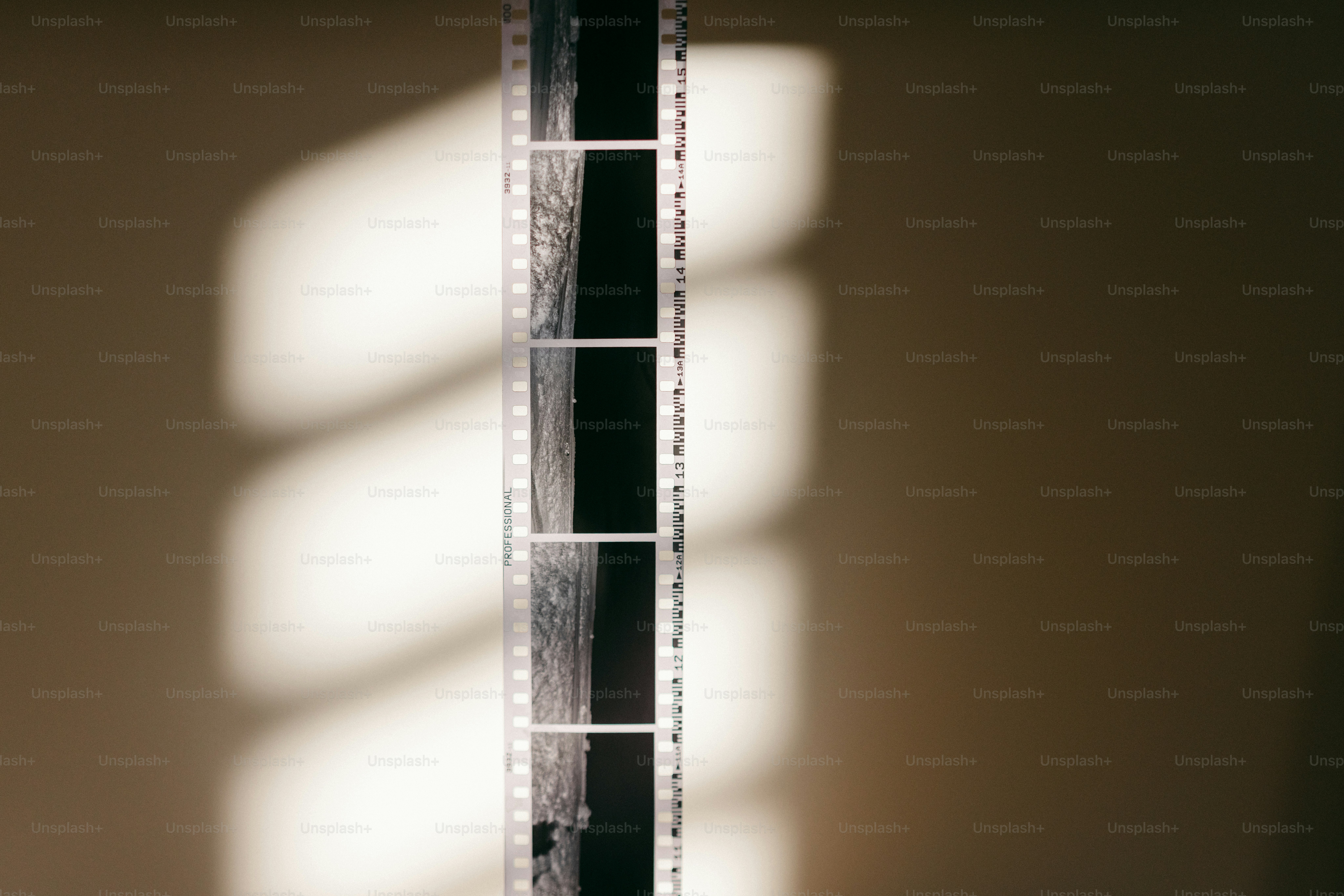 Strip of film illuminated by window light