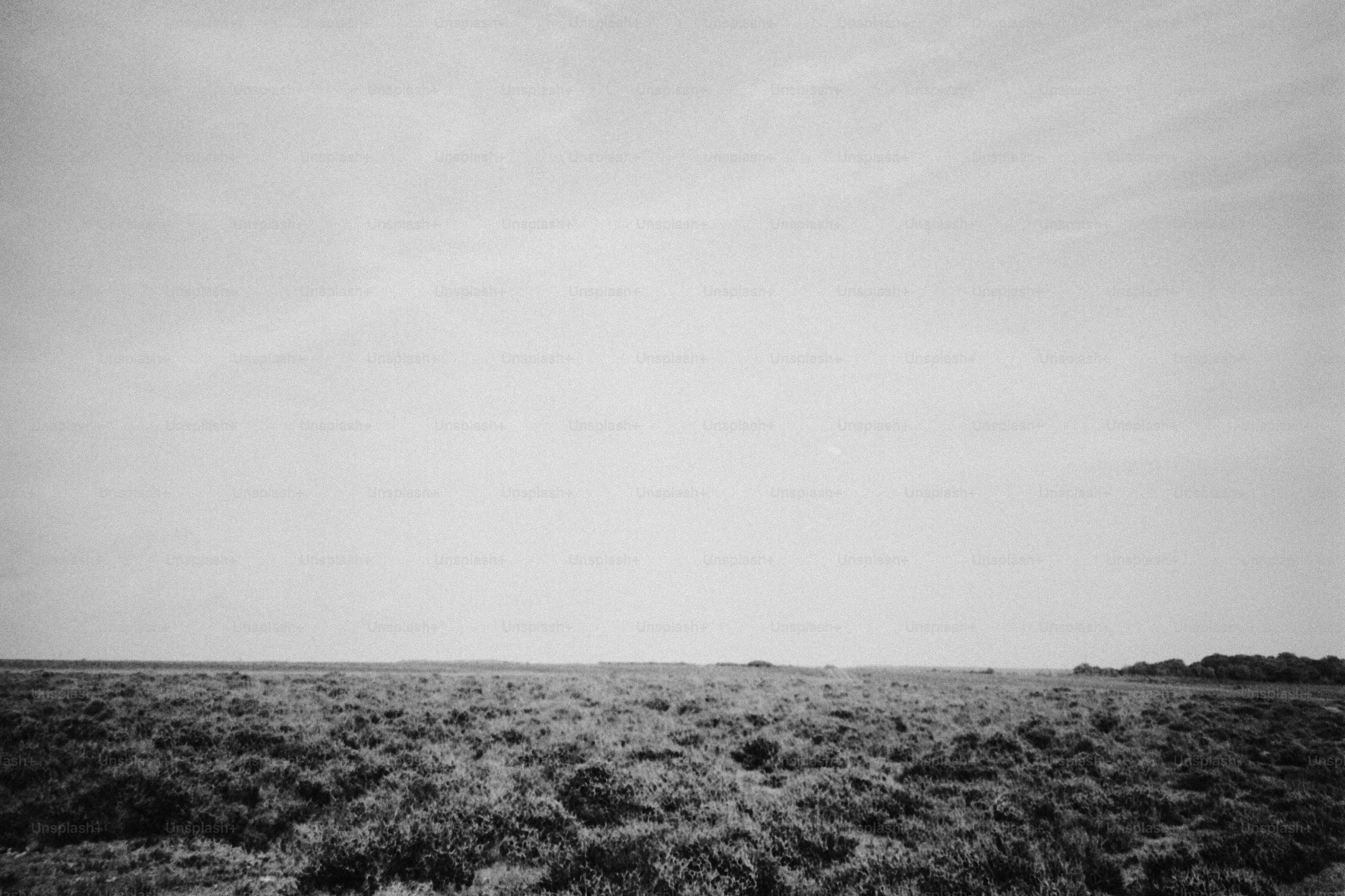 Vast landscape with textured ground and clear sky photo – Texture Image ...