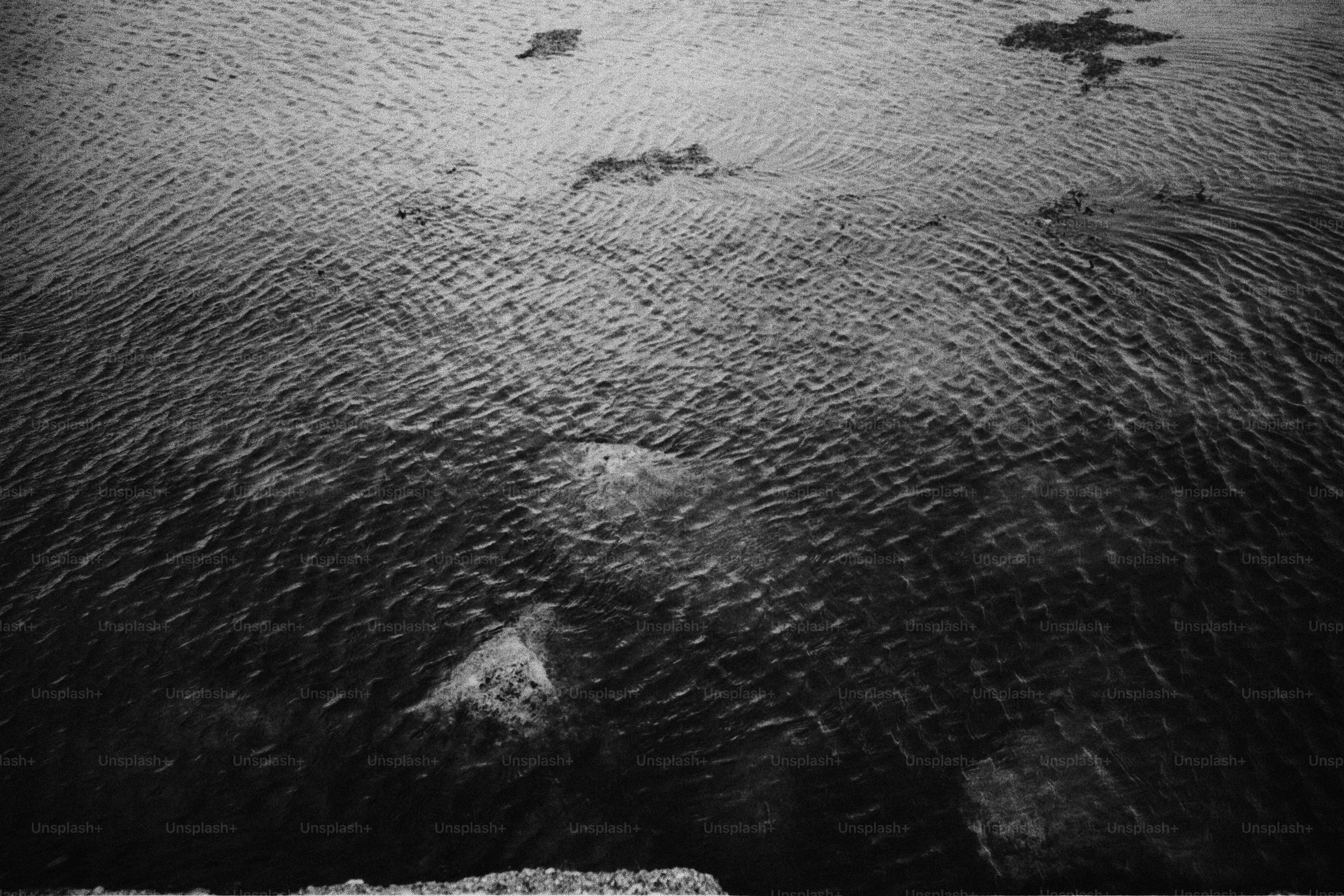 Ripples on dark water with rocks visible