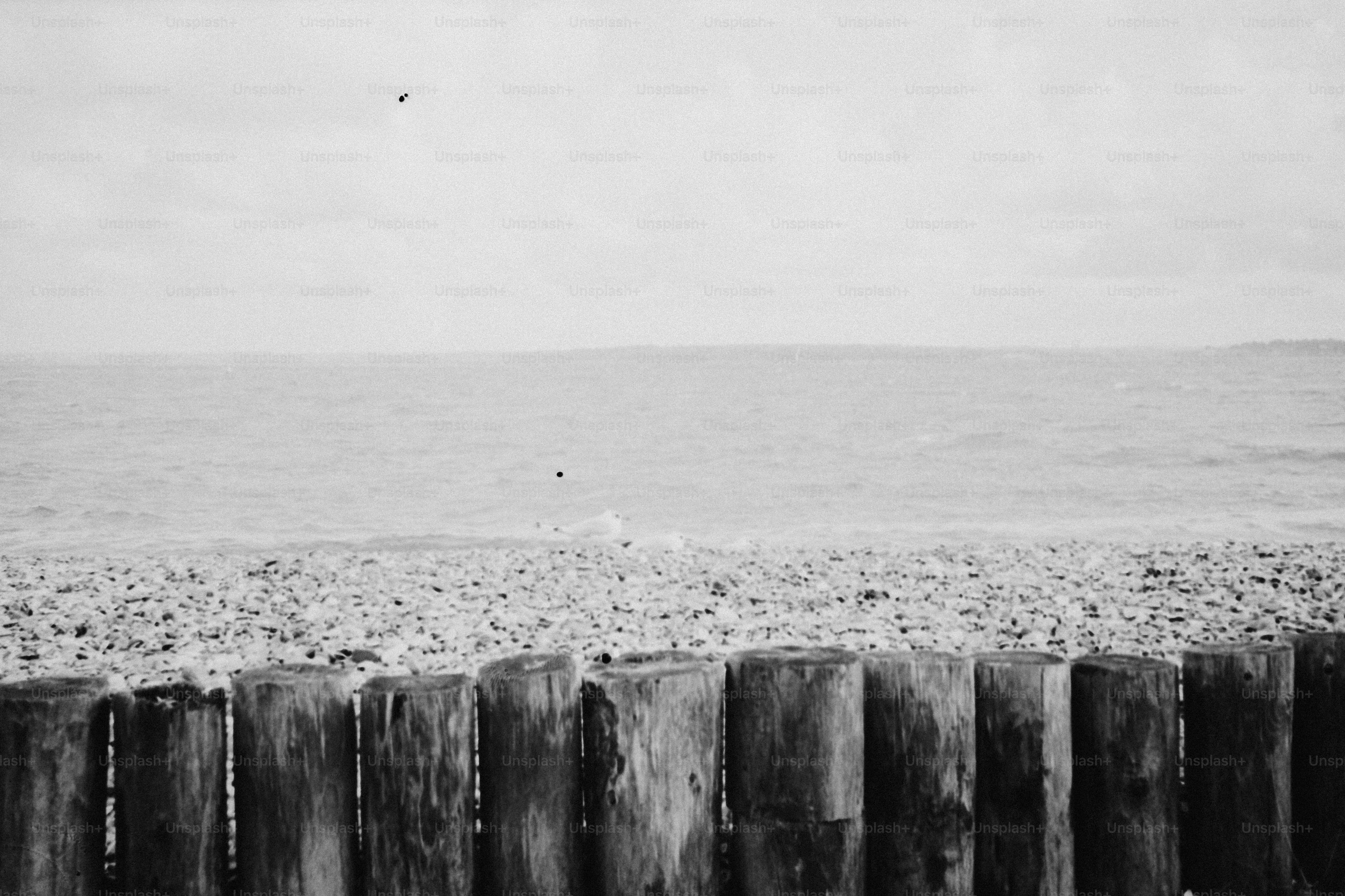 Wooden posts on a pebble beach with the ocean.