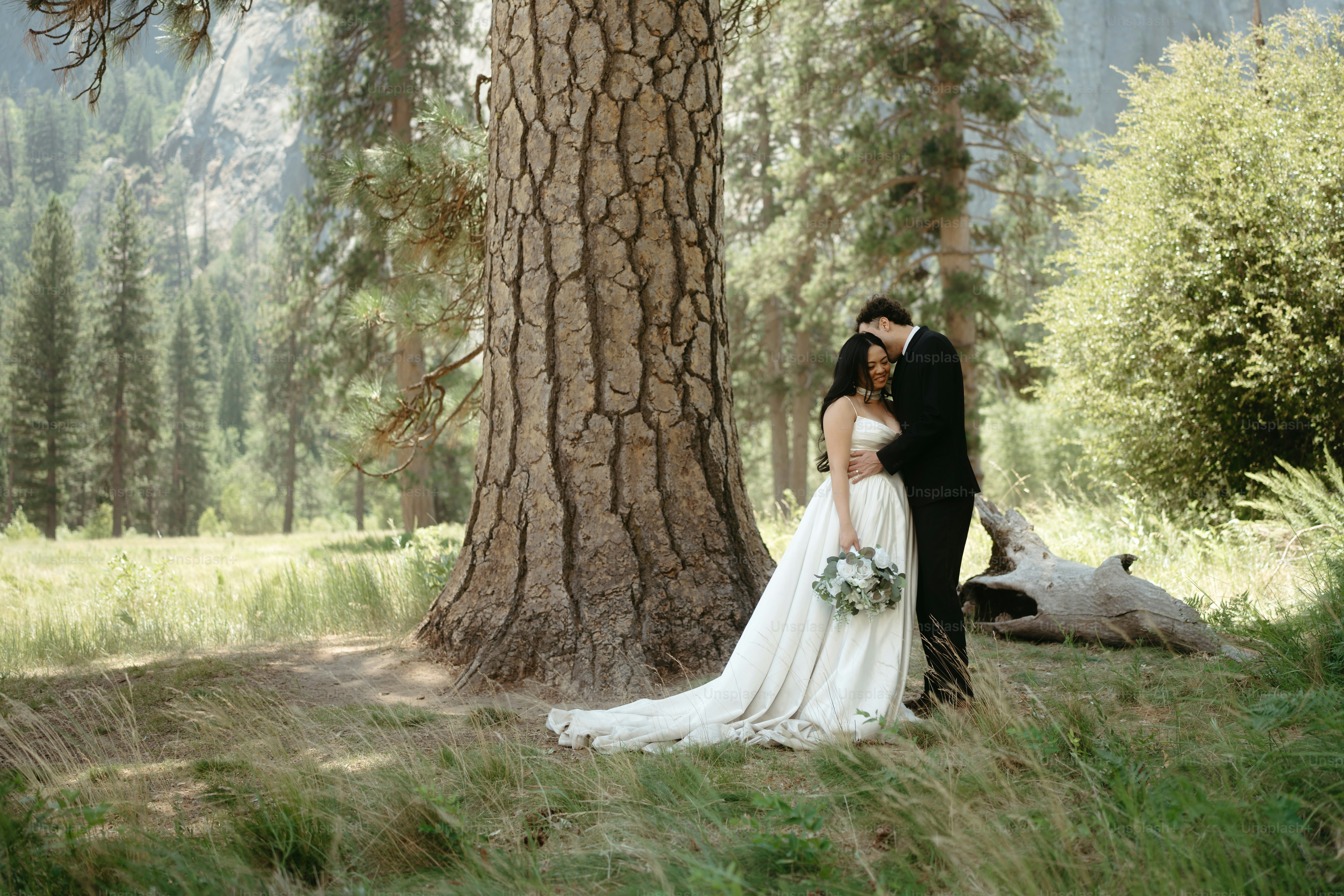 Couple embracing under a large tree in a forest