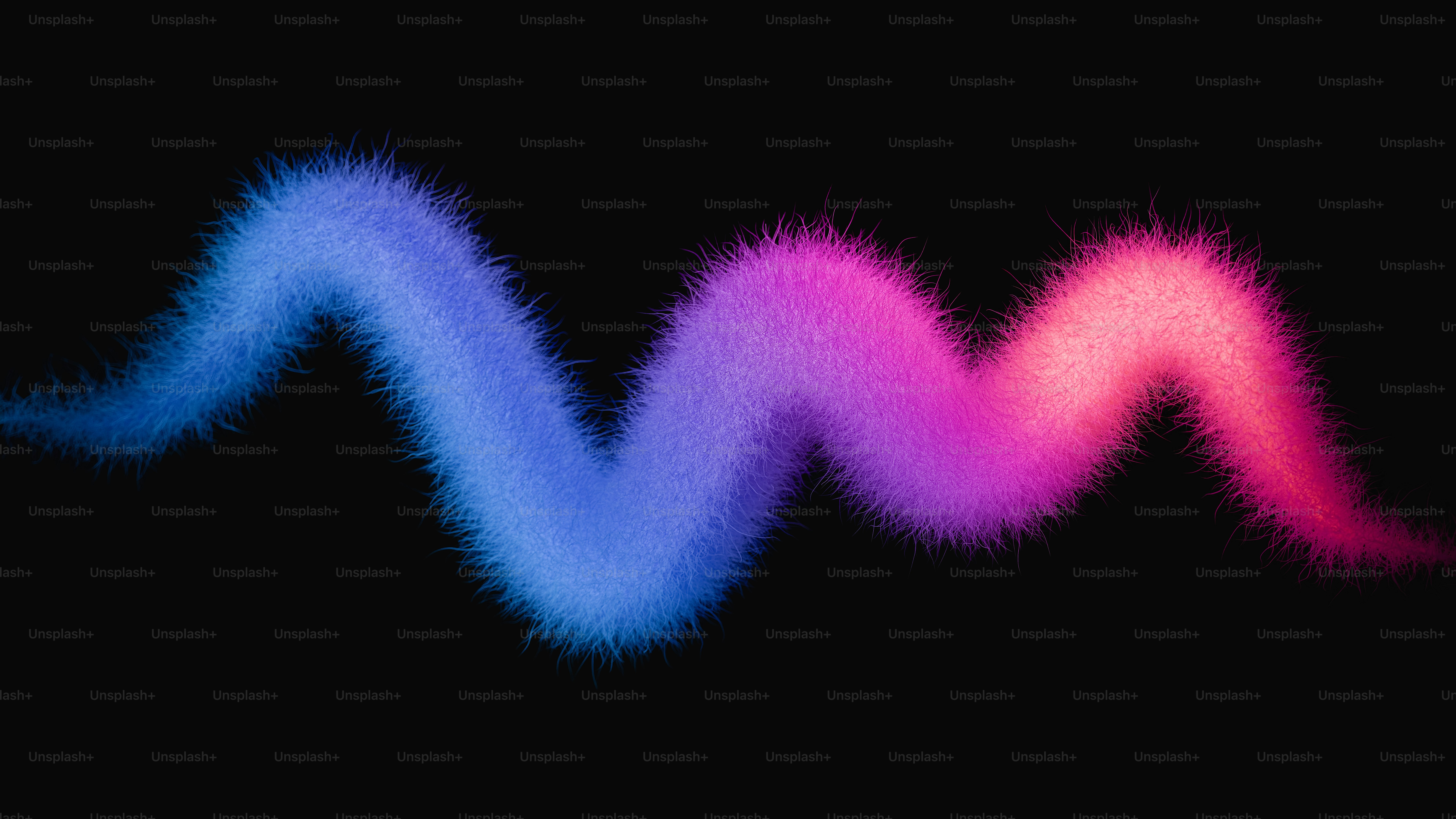 흐릿한 물결 모양의 선이 파란색에서 분홍색으로 전환됩니다.