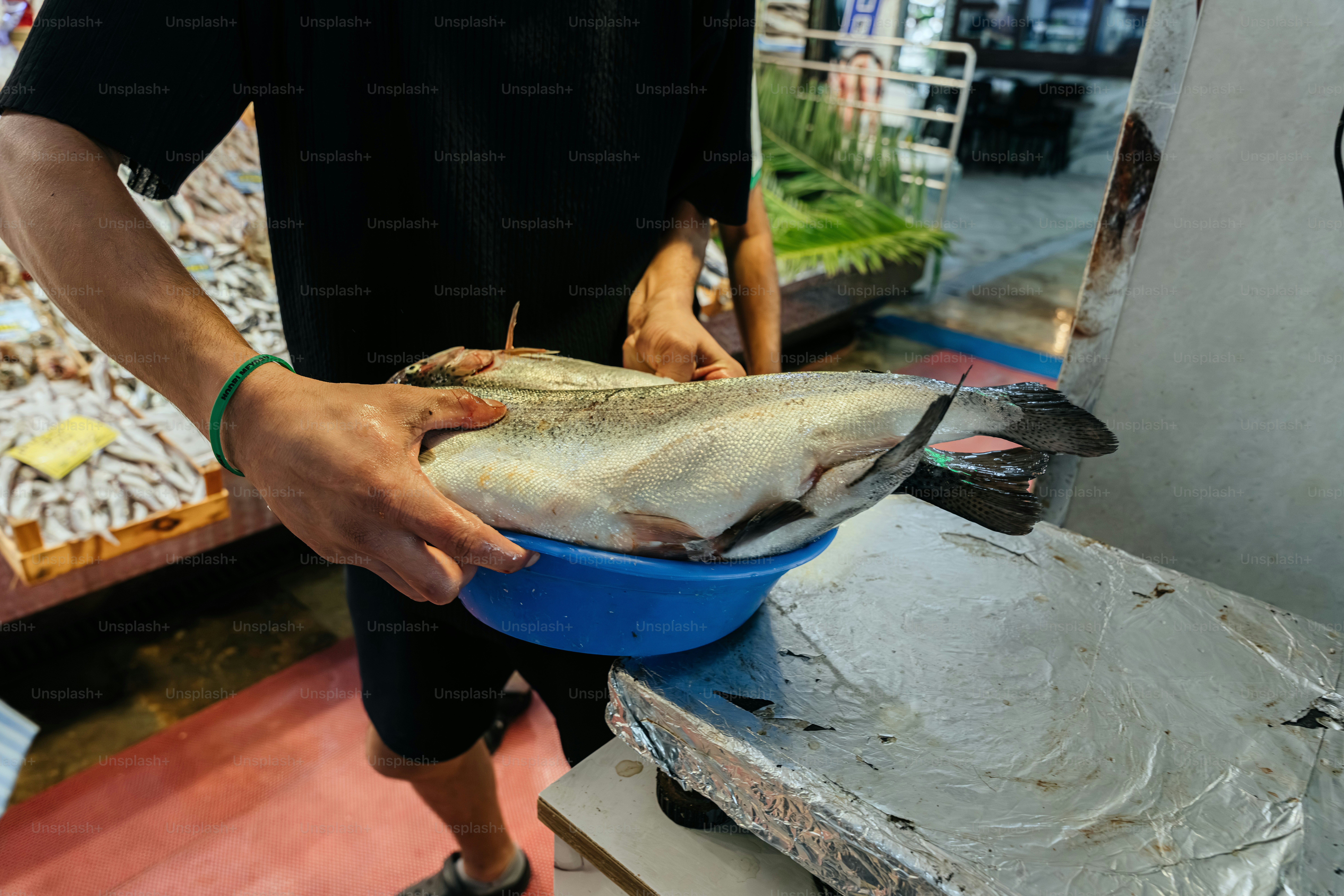 Person holding a large fish in a blue bowl.