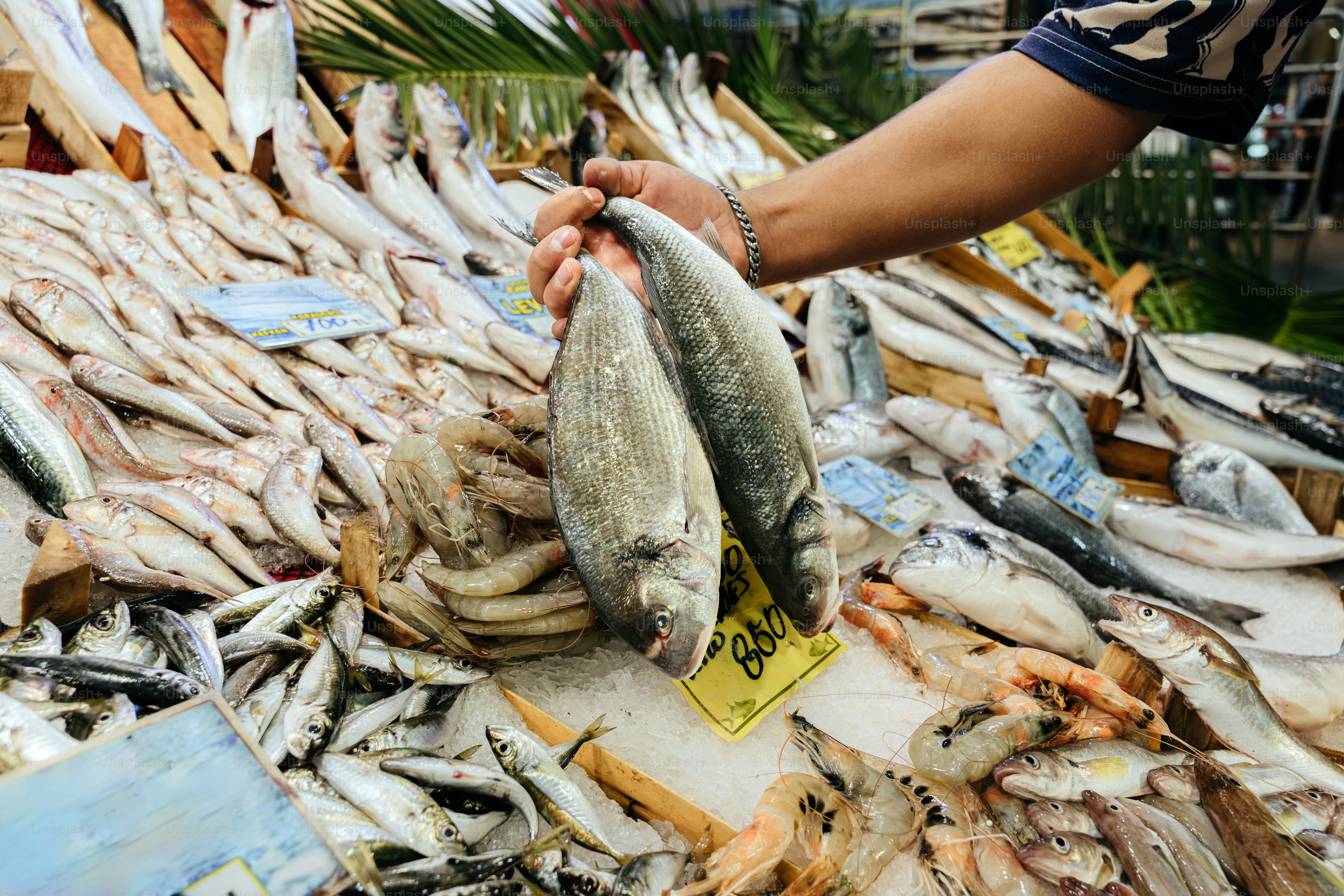 Fresh fish displayed on ice at a market.