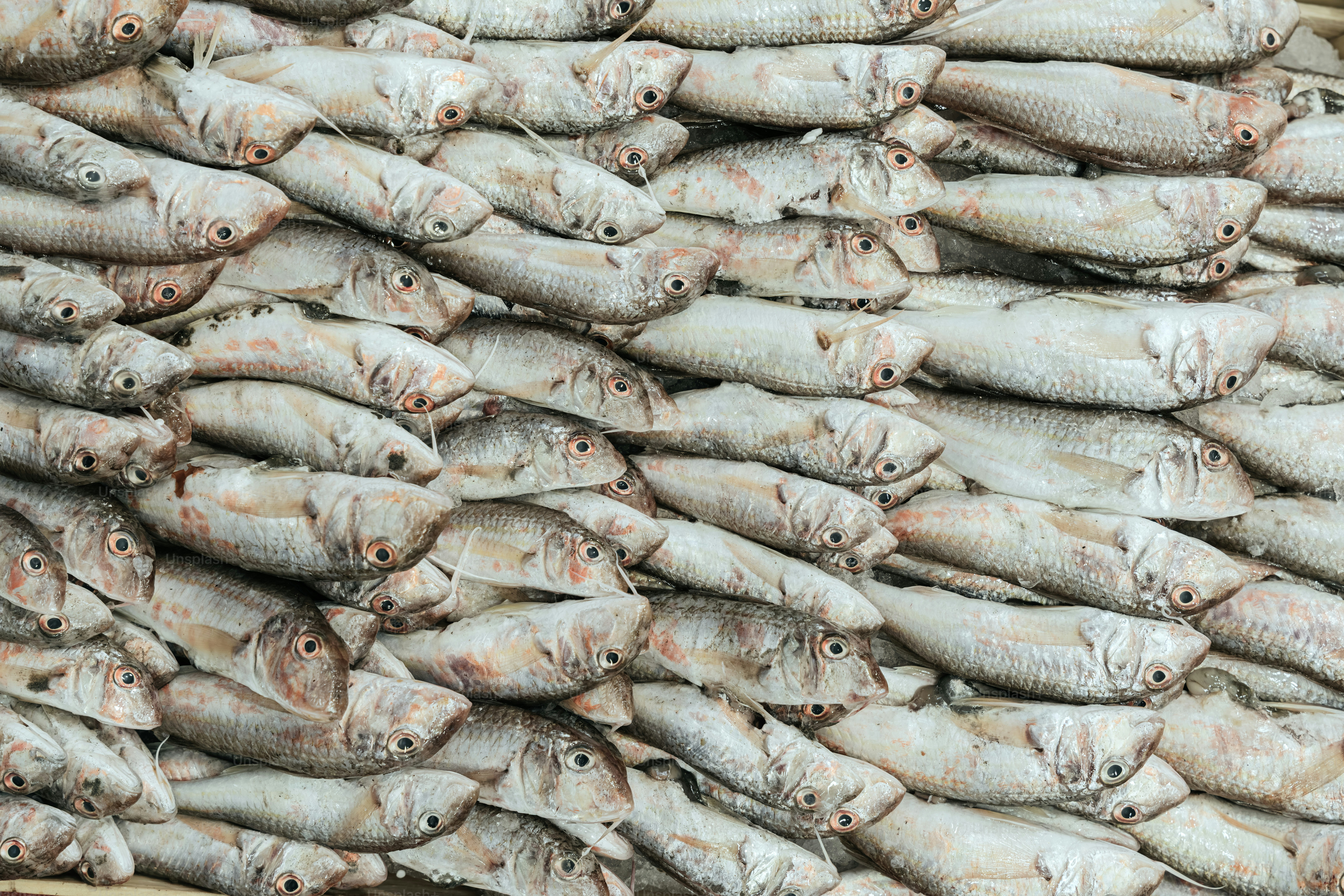 A large stack of dried fish