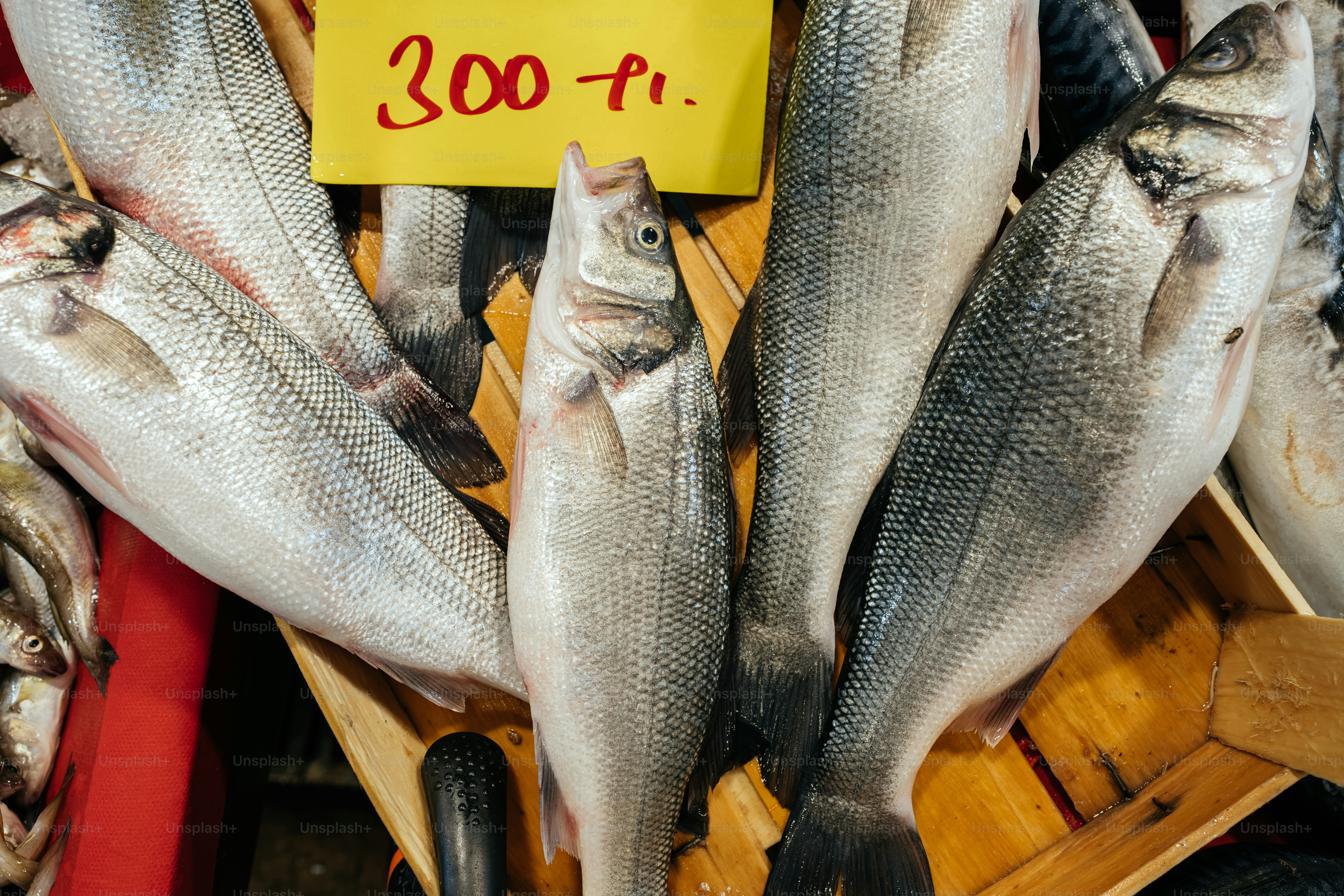 Fresh fish displayed at a market stall