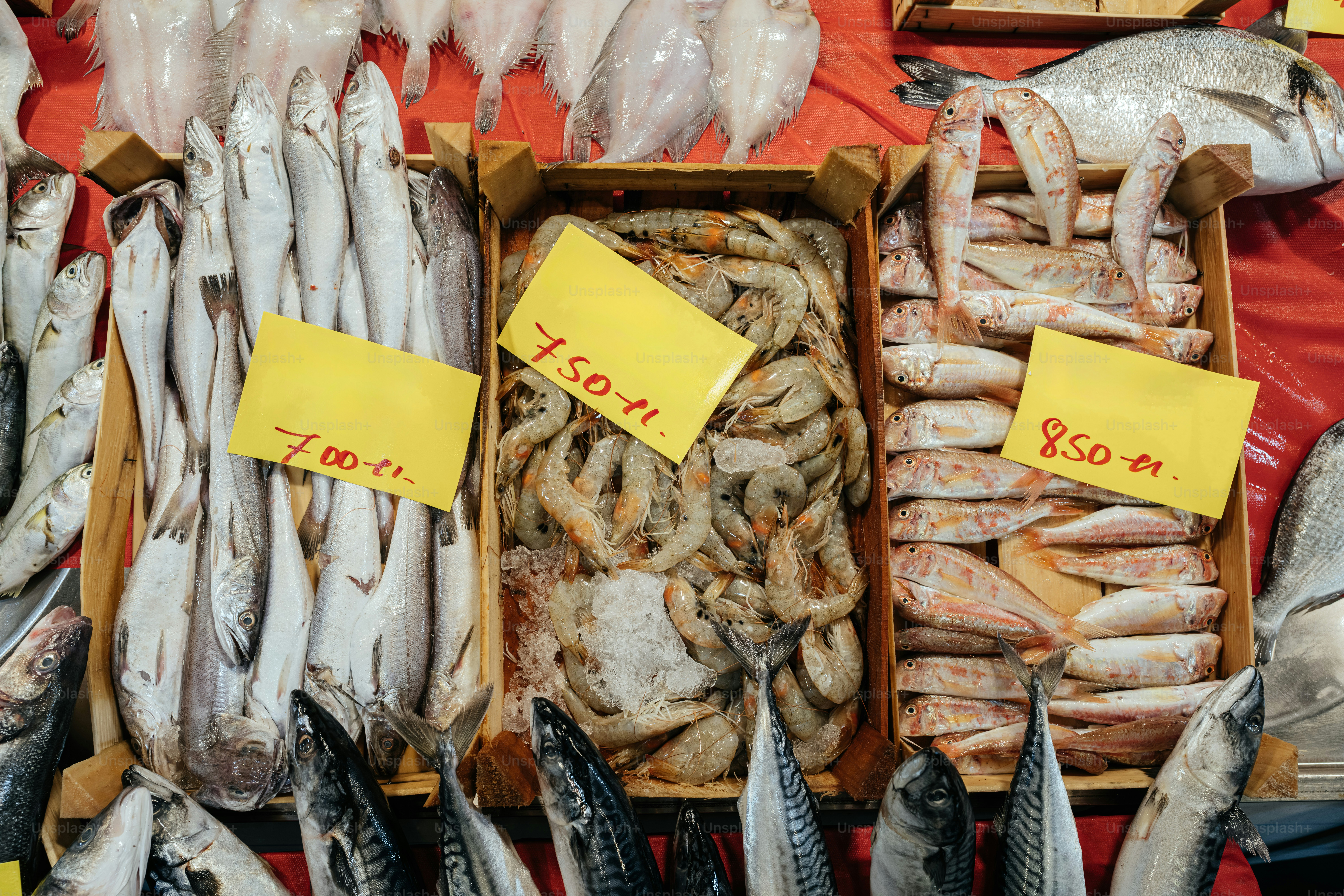 Ikan segar dan udang dipajang di pasar.