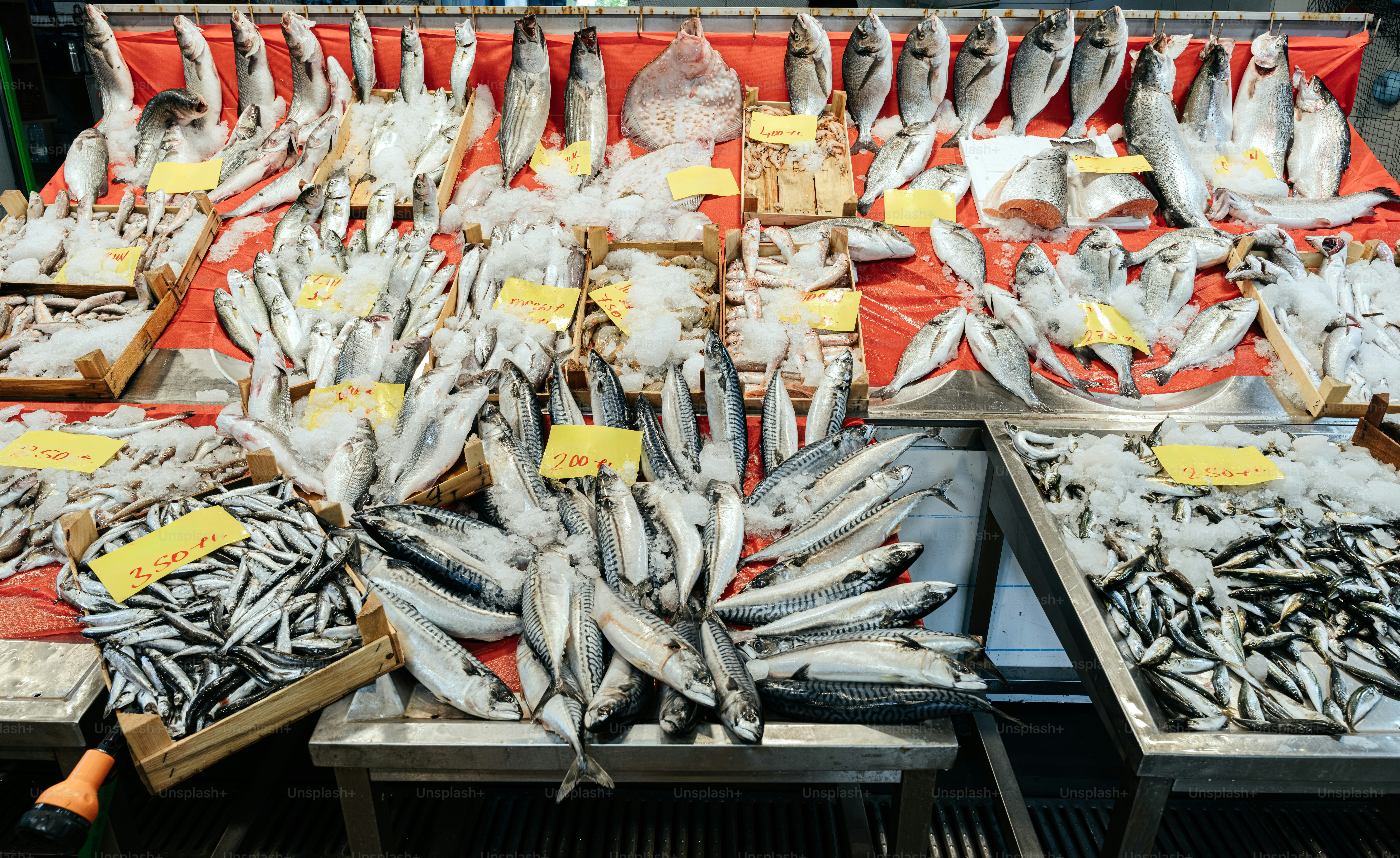 Ikan segar ditampilkan di atas es di pasar