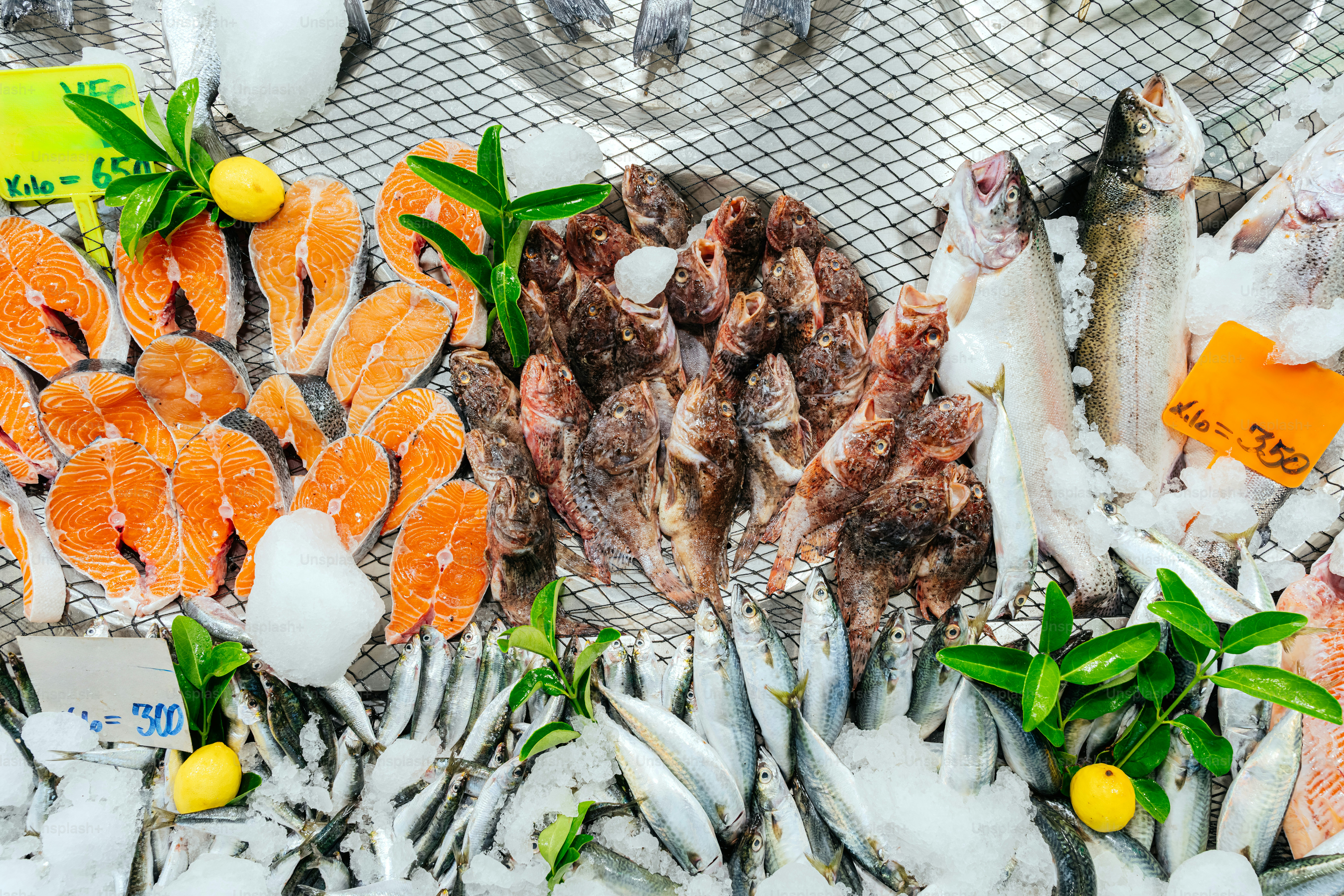 Fresh fish and salmon fillets on ice display