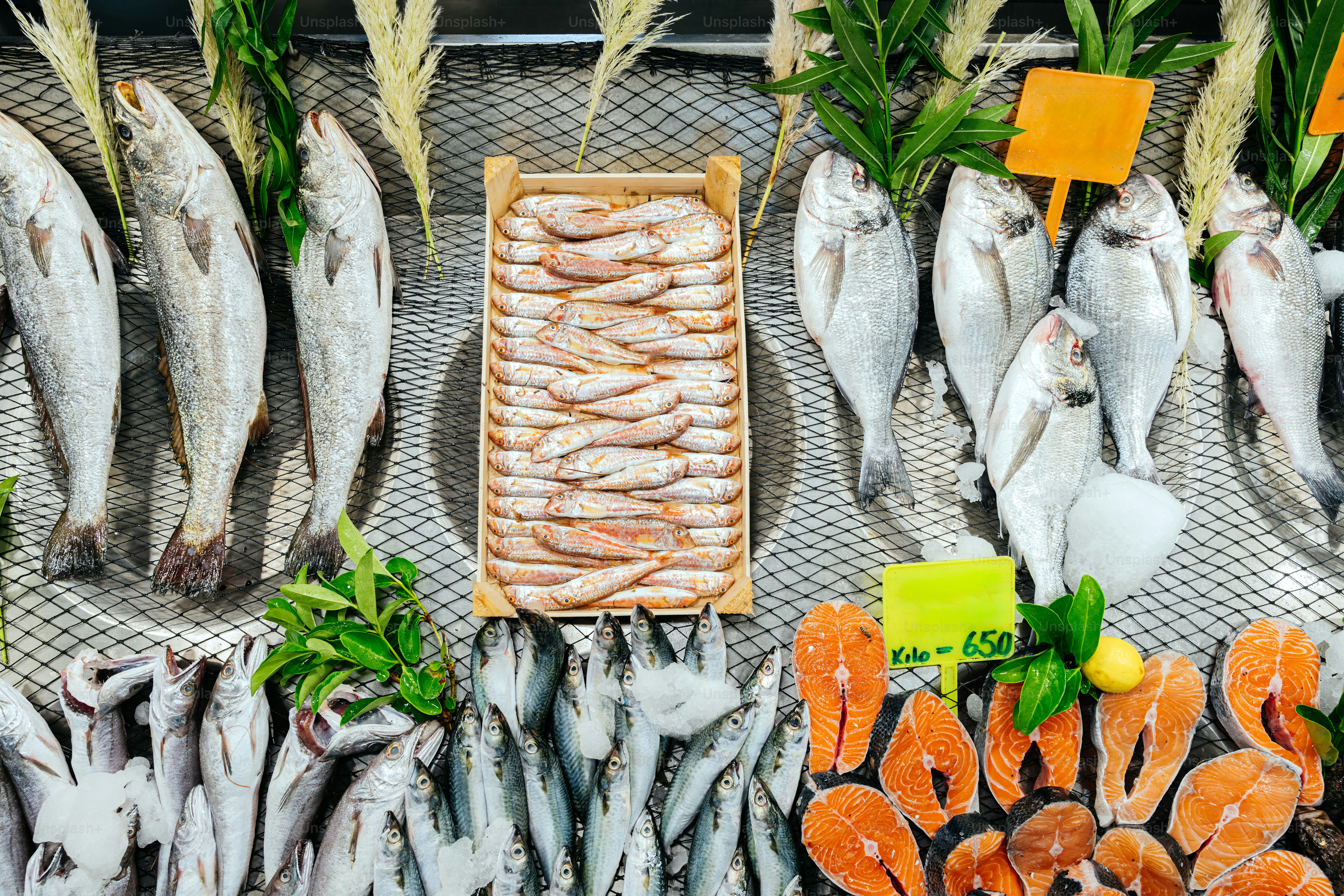 Assortment of fresh fish and seafood on display.