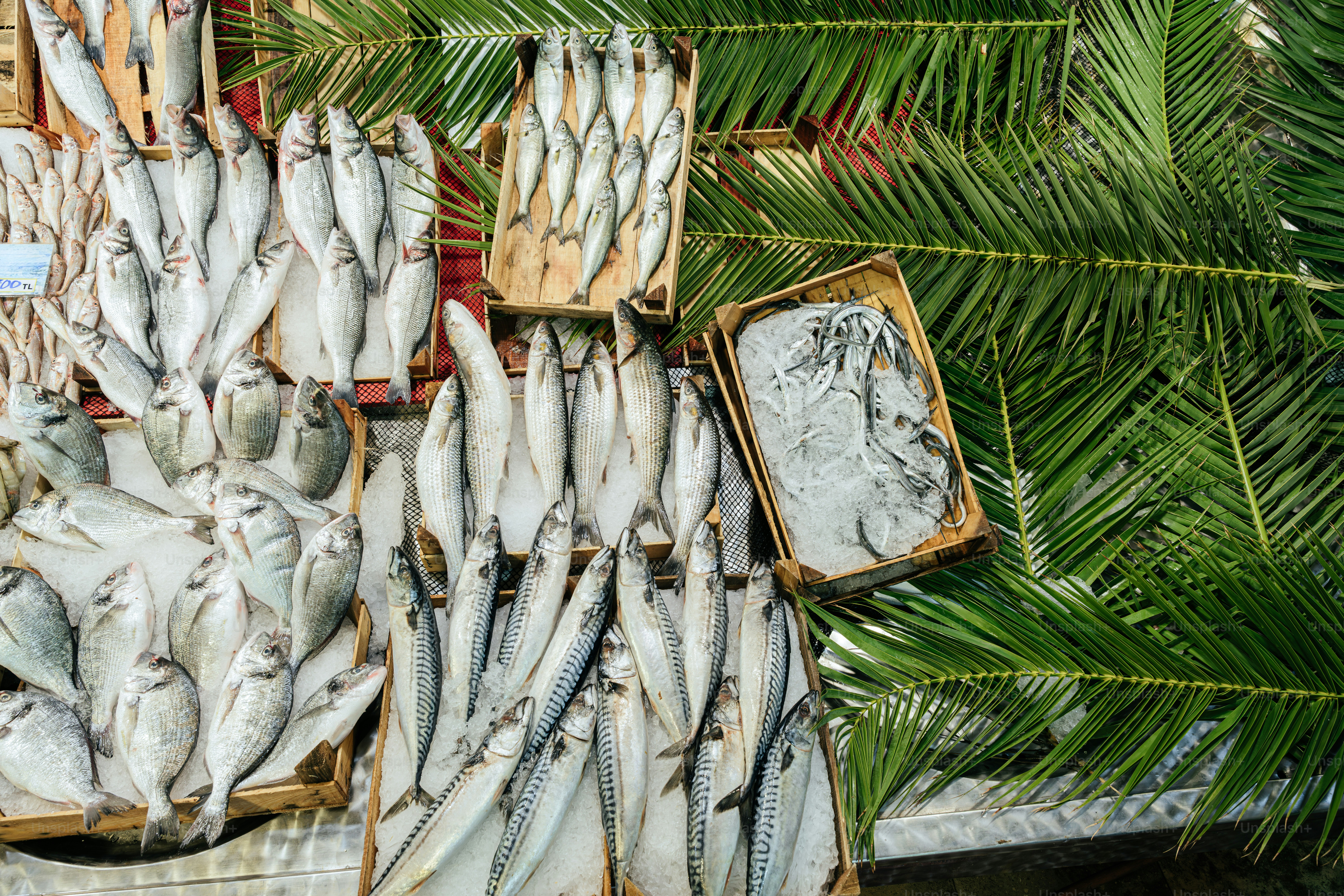 Ikan segar dipajang dengan daun palem di pasar.