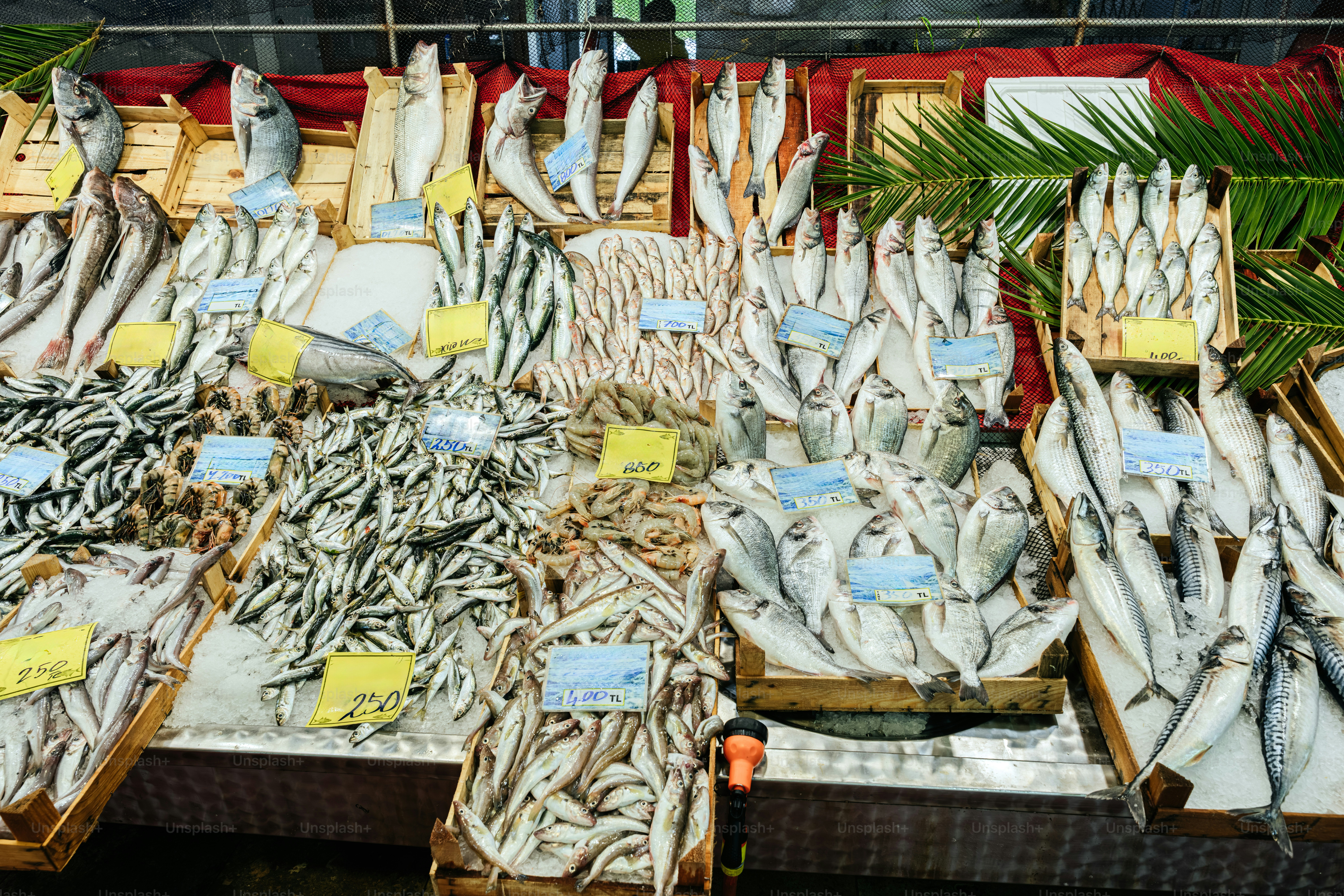 Ikan segar dipajang di warung pasar.