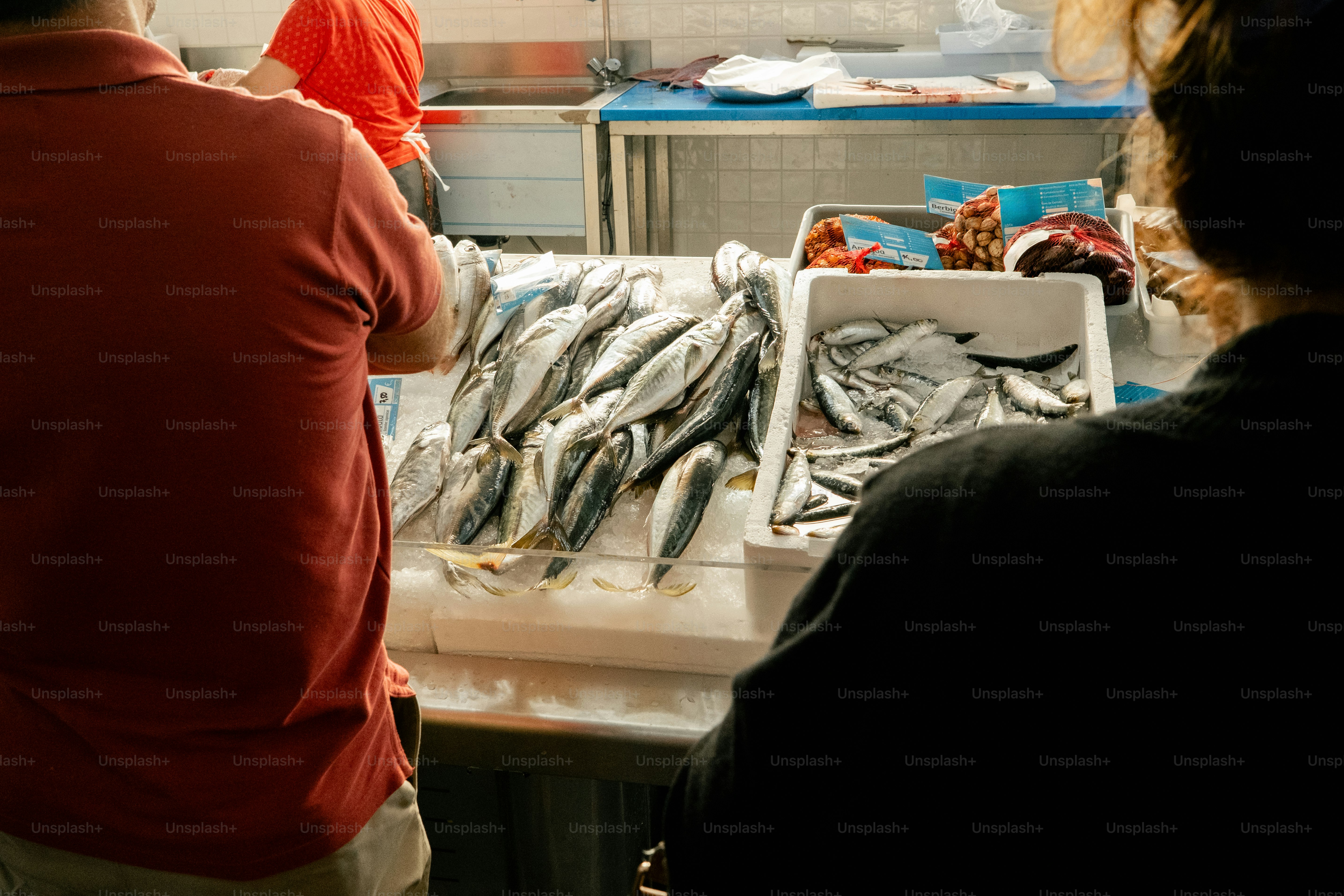 Fresh fish displayed at a market stall