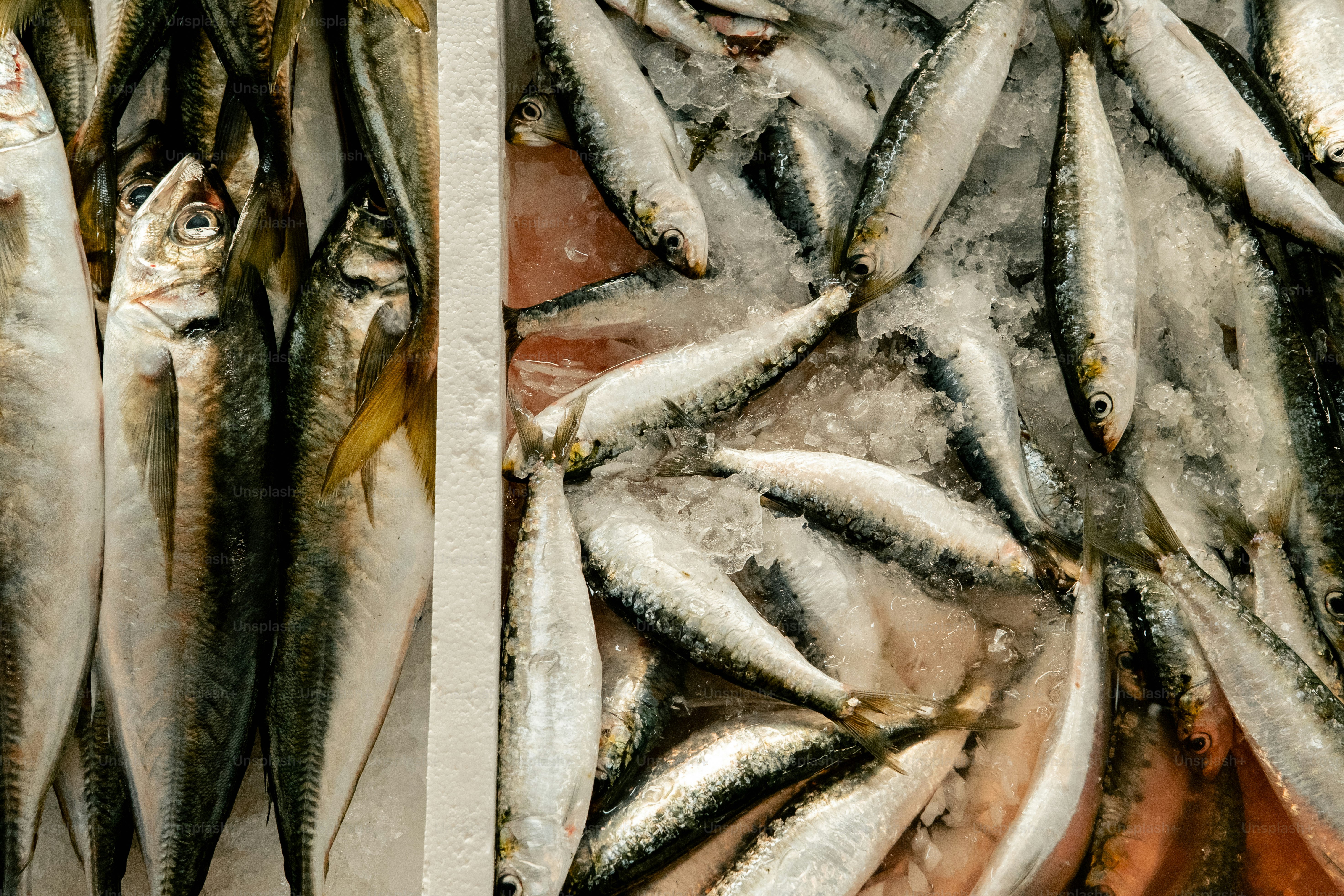 Ikan segar ditampilkan di atas es di pasar.