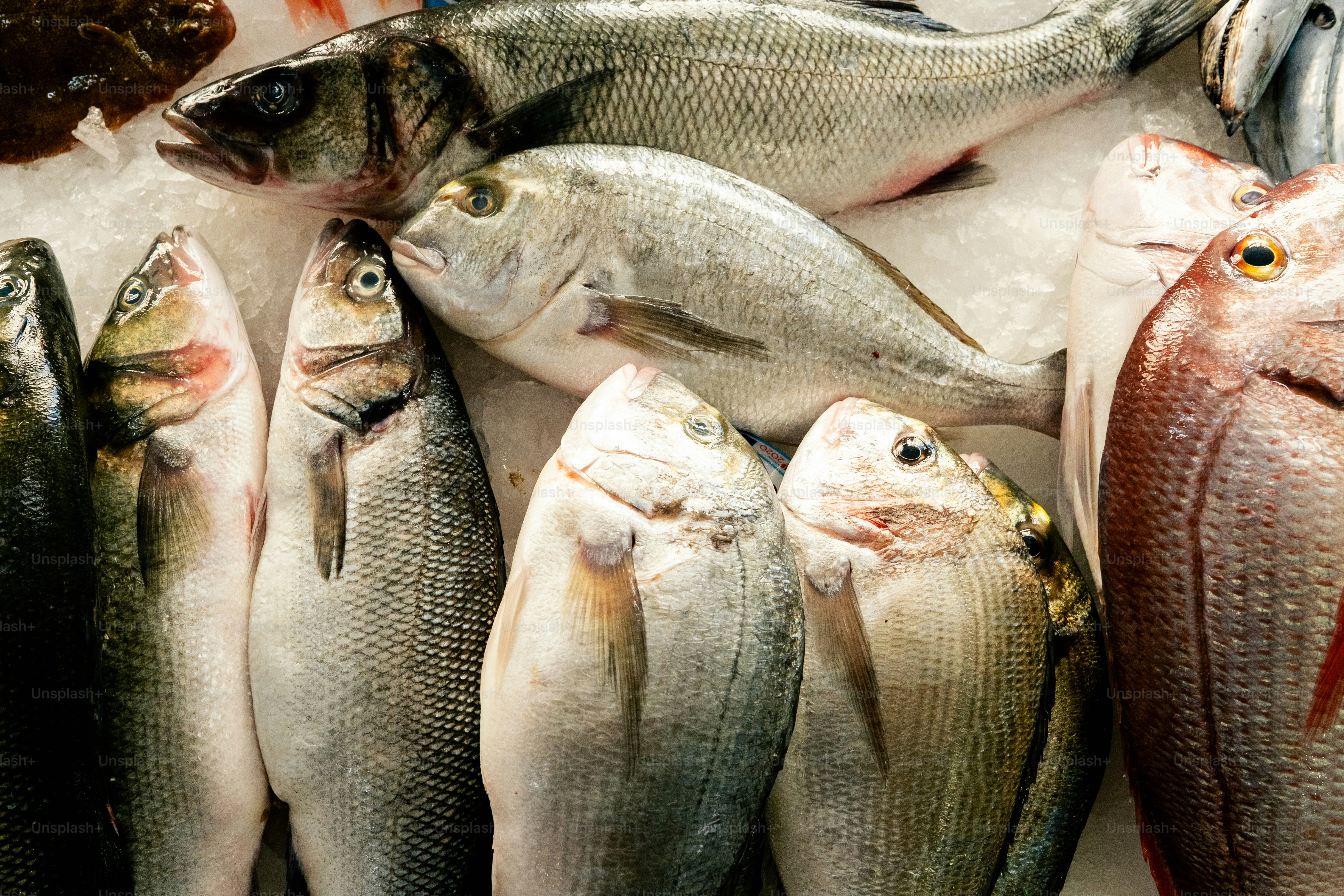 Ikan segar dipajang di atas es di warung pasar
