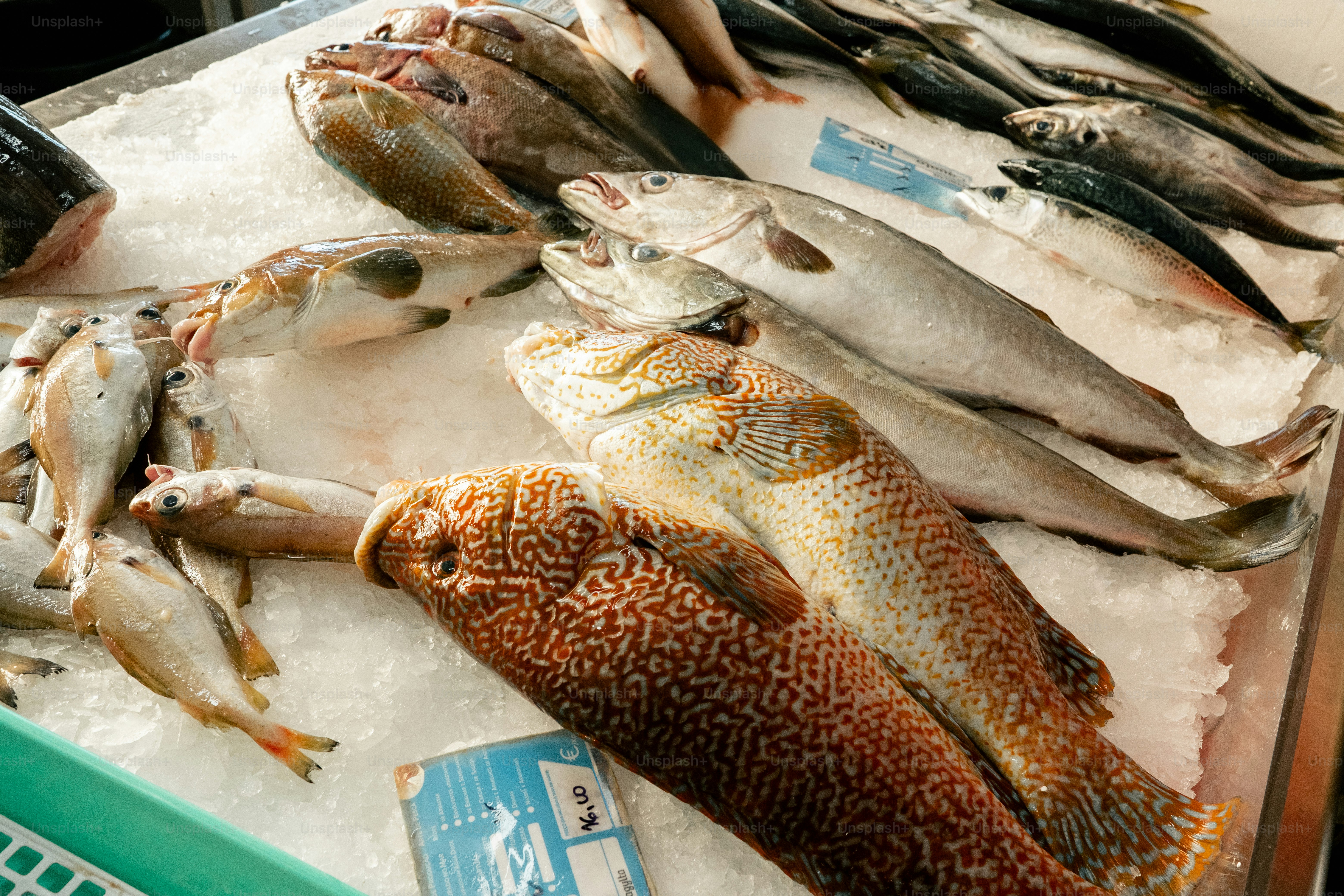 Ikan segar ditampilkan di atas es di pasar.