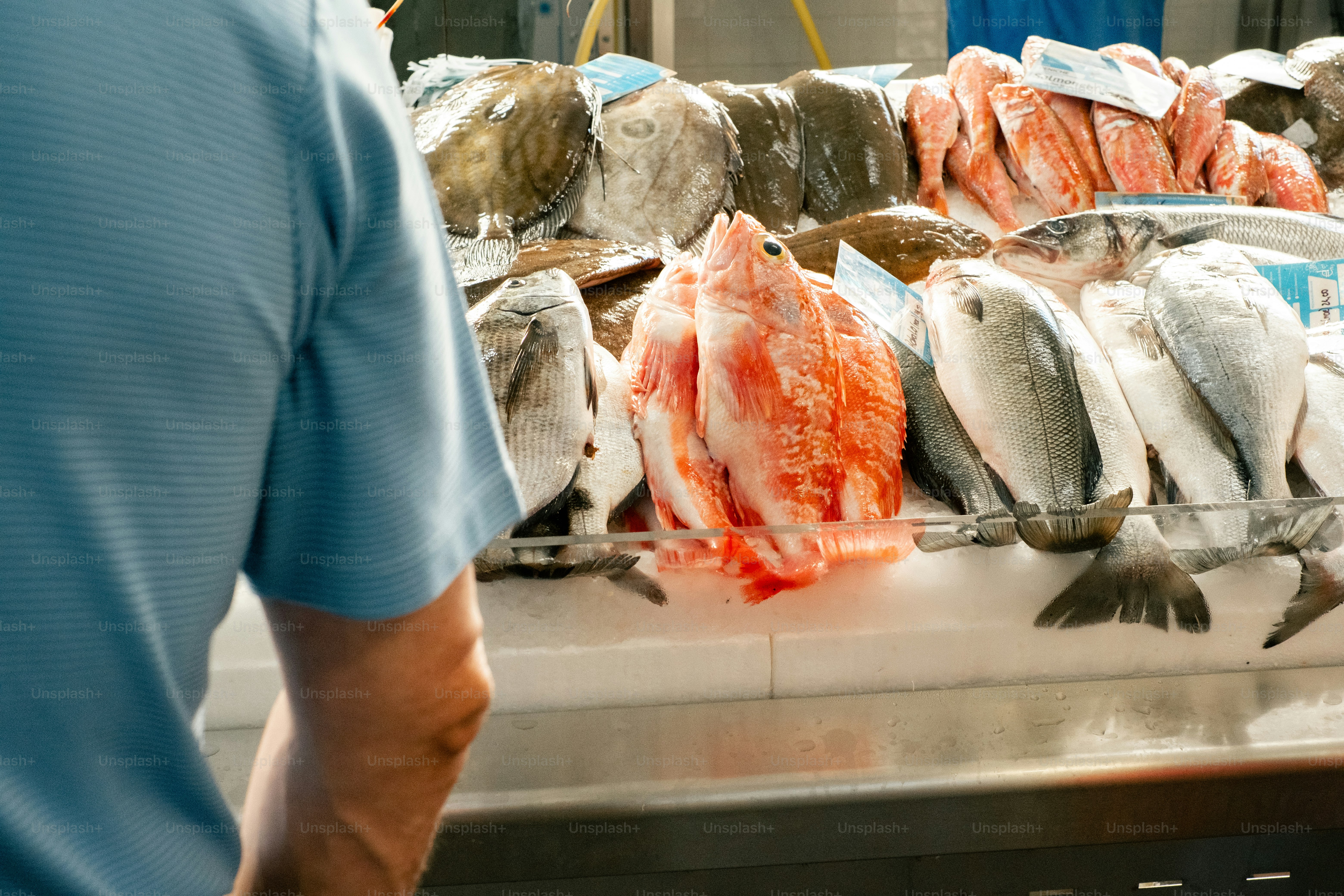 Fresh fish displayed at a market stall.