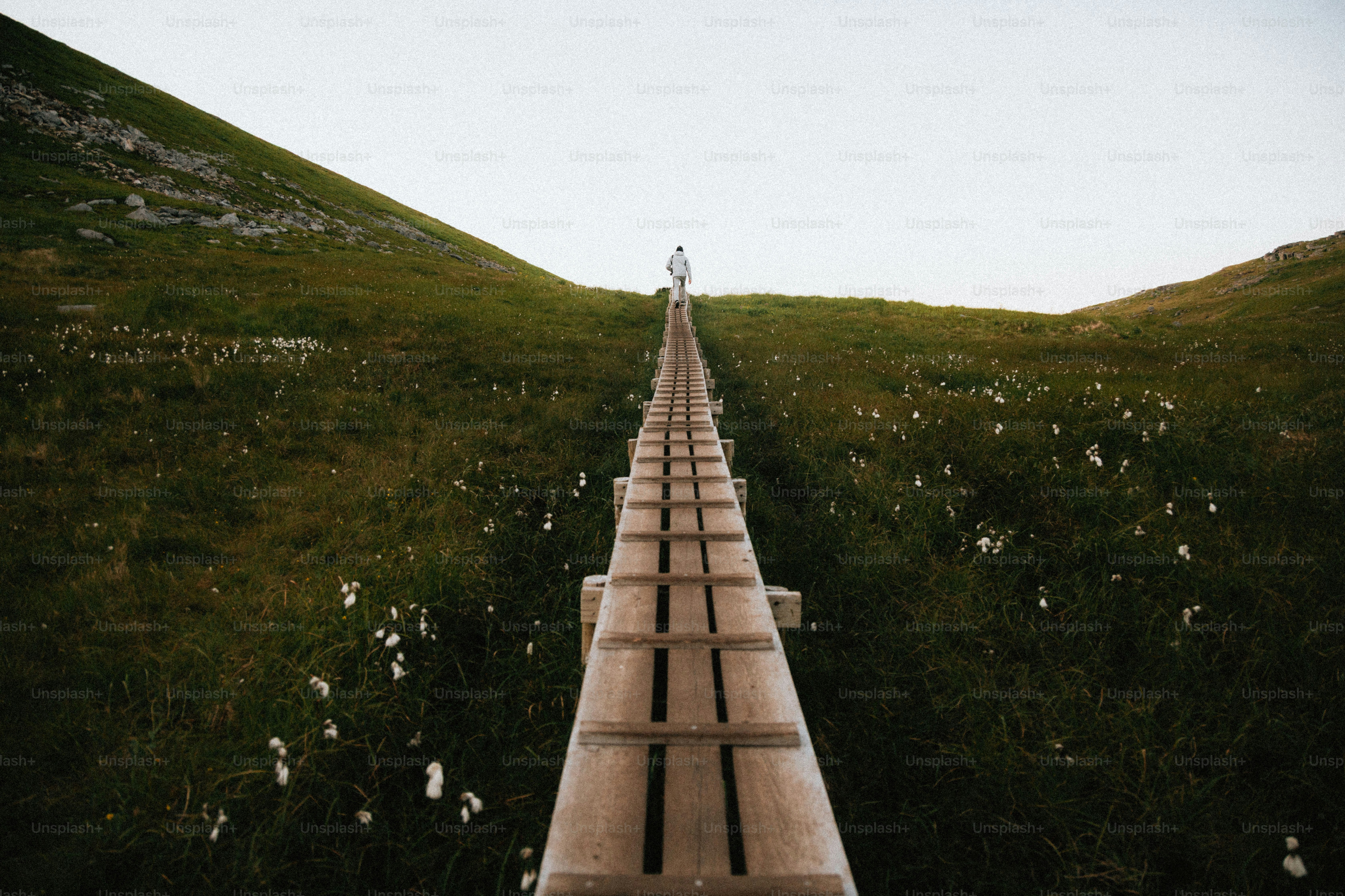 Personne marchant sur un chemin en bois à travers des collines herbeuses.