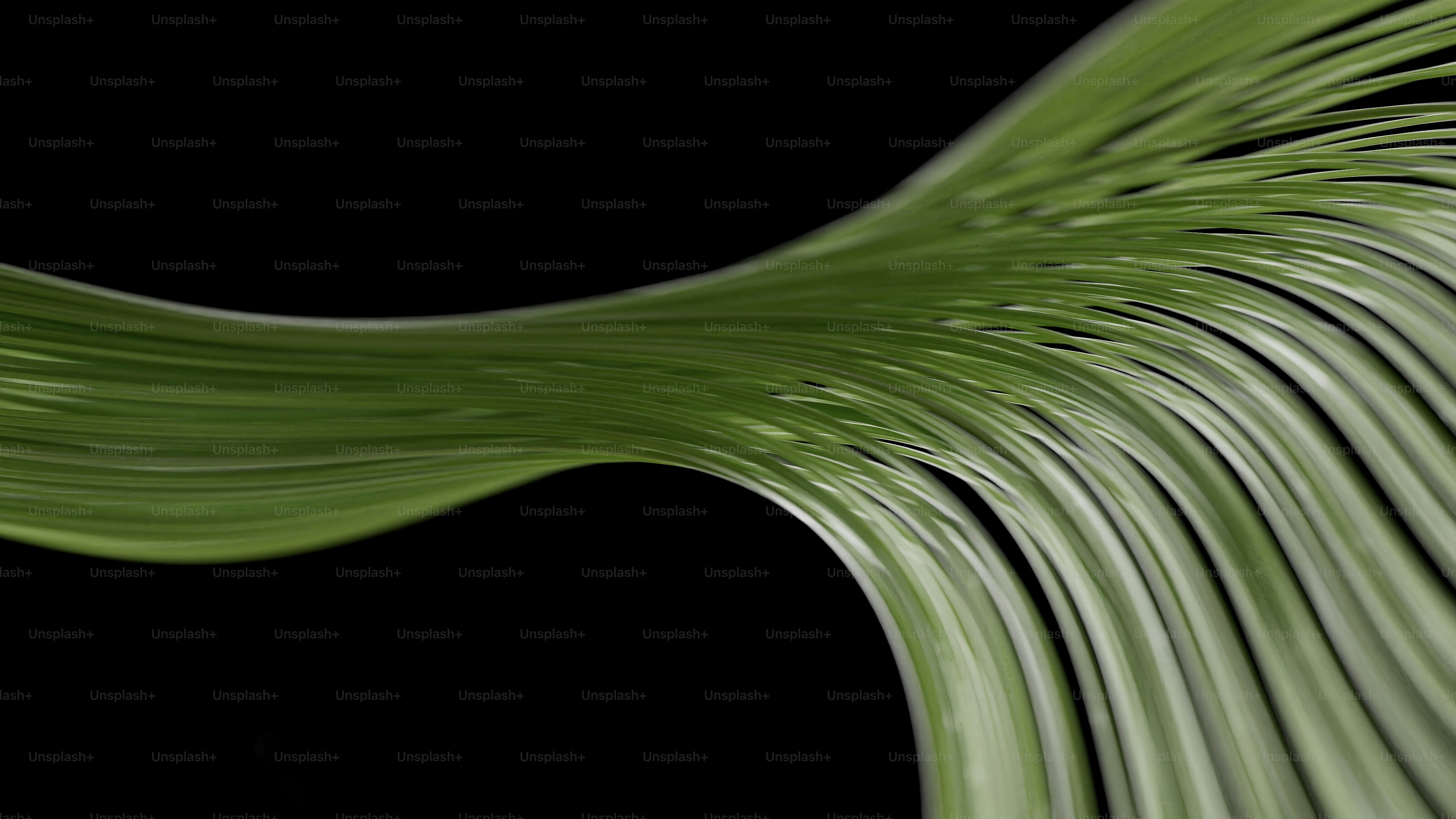 Green abstract flowing lines on black background