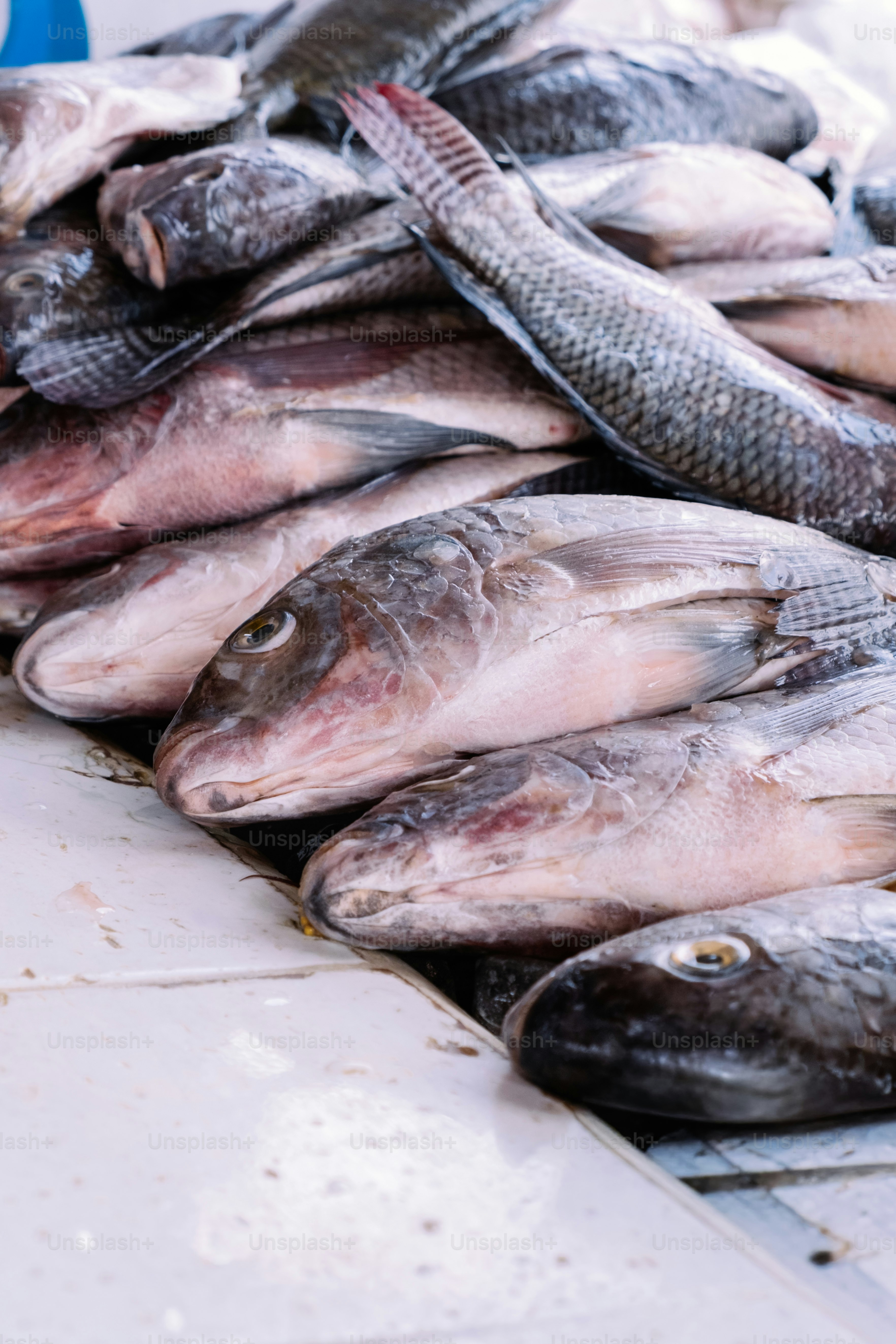 Tumpukan ikan segar di warung pasar