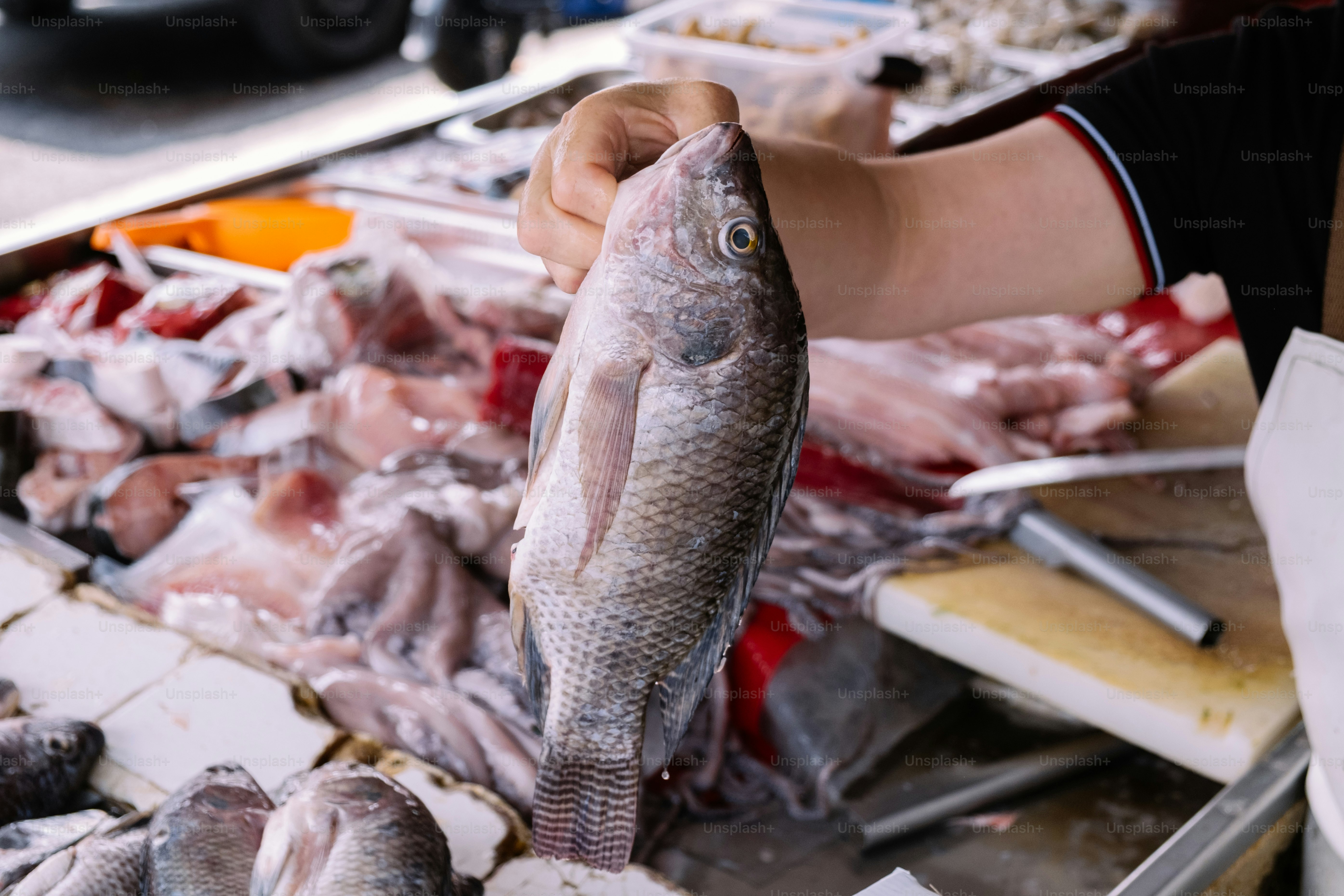 A person holds up a fresh fish at a market.