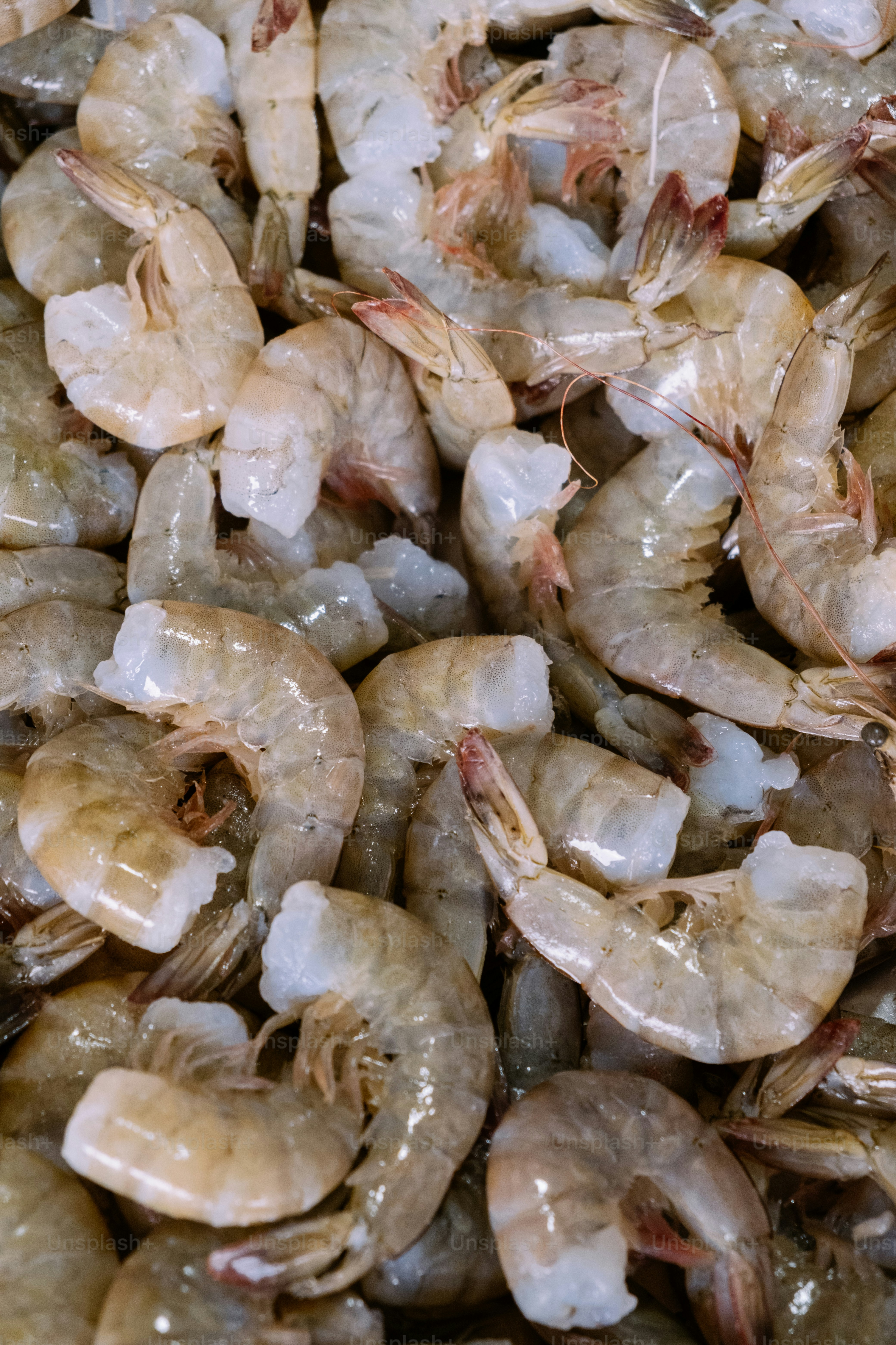 A pile of raw, peeled shrimp