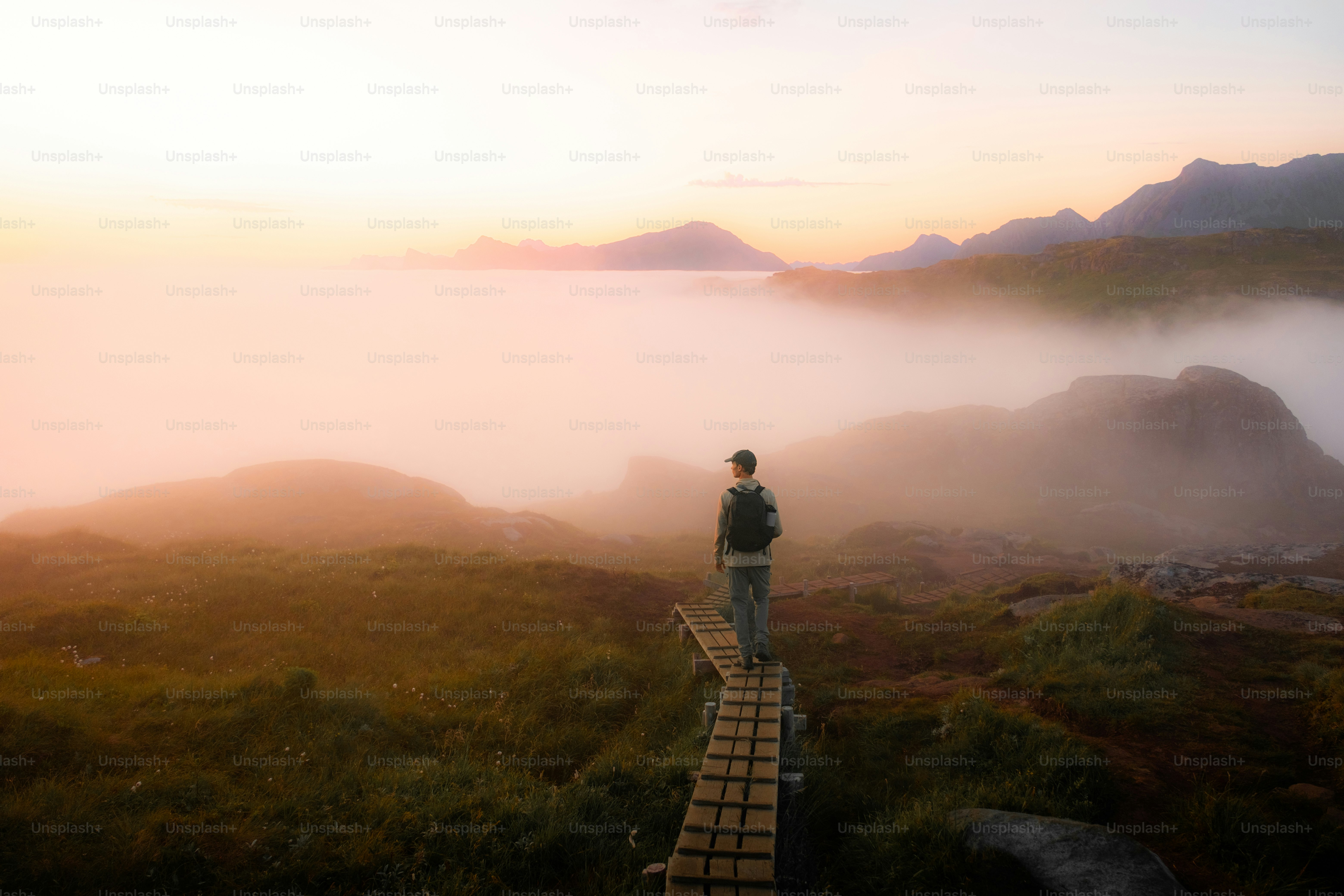 premium_photo-1757322537445-892532434841?q=80&w=2340&auto=format&fit=crop&ixlib=rb-4.1.0&ixid=M3wxMjA3fDB8MHxwaG90by1wYWdlfHx8fGVufDB8fHx8fA%3D%3D