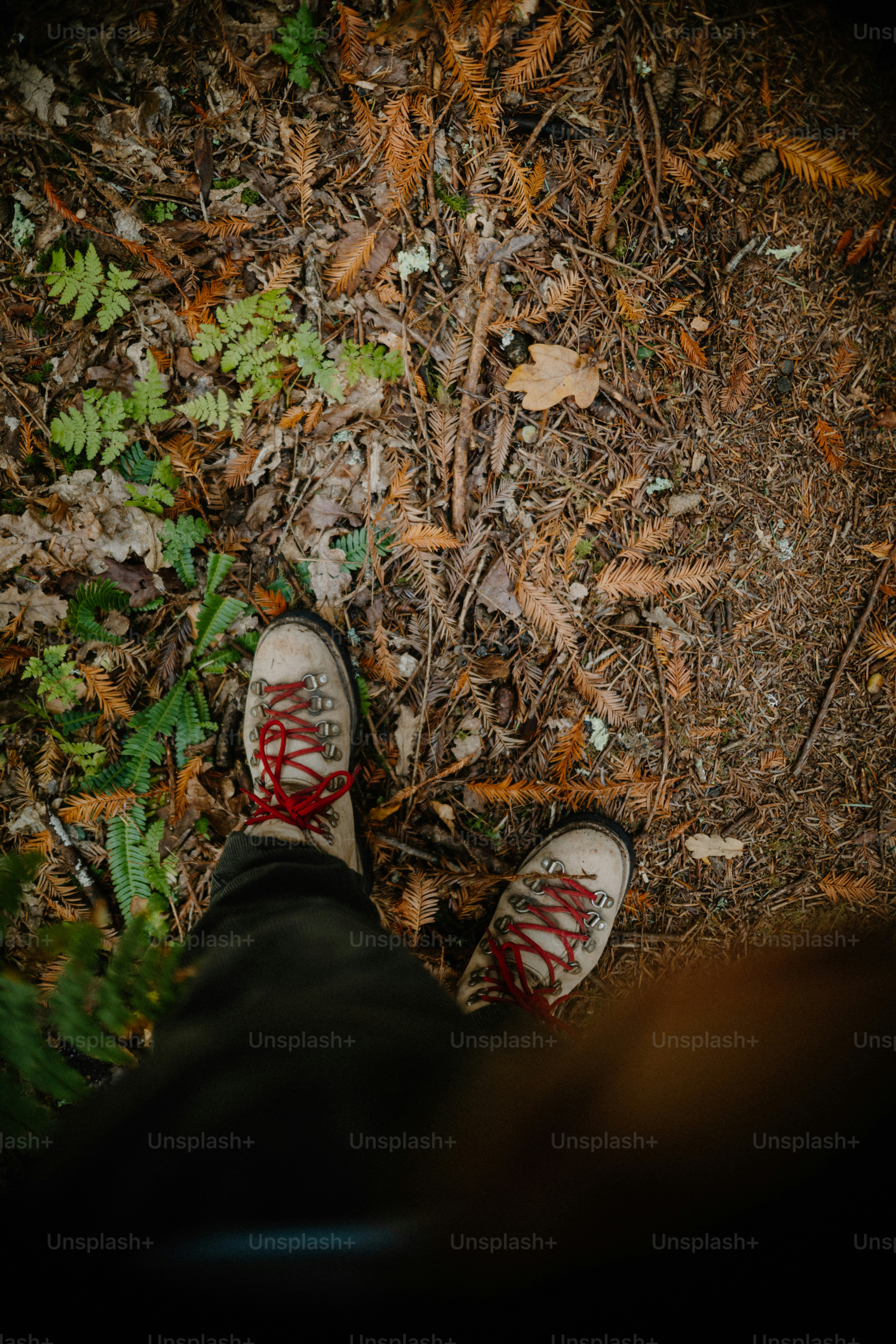 Orang yang mengenakan sepatu hiking di lantai hutan