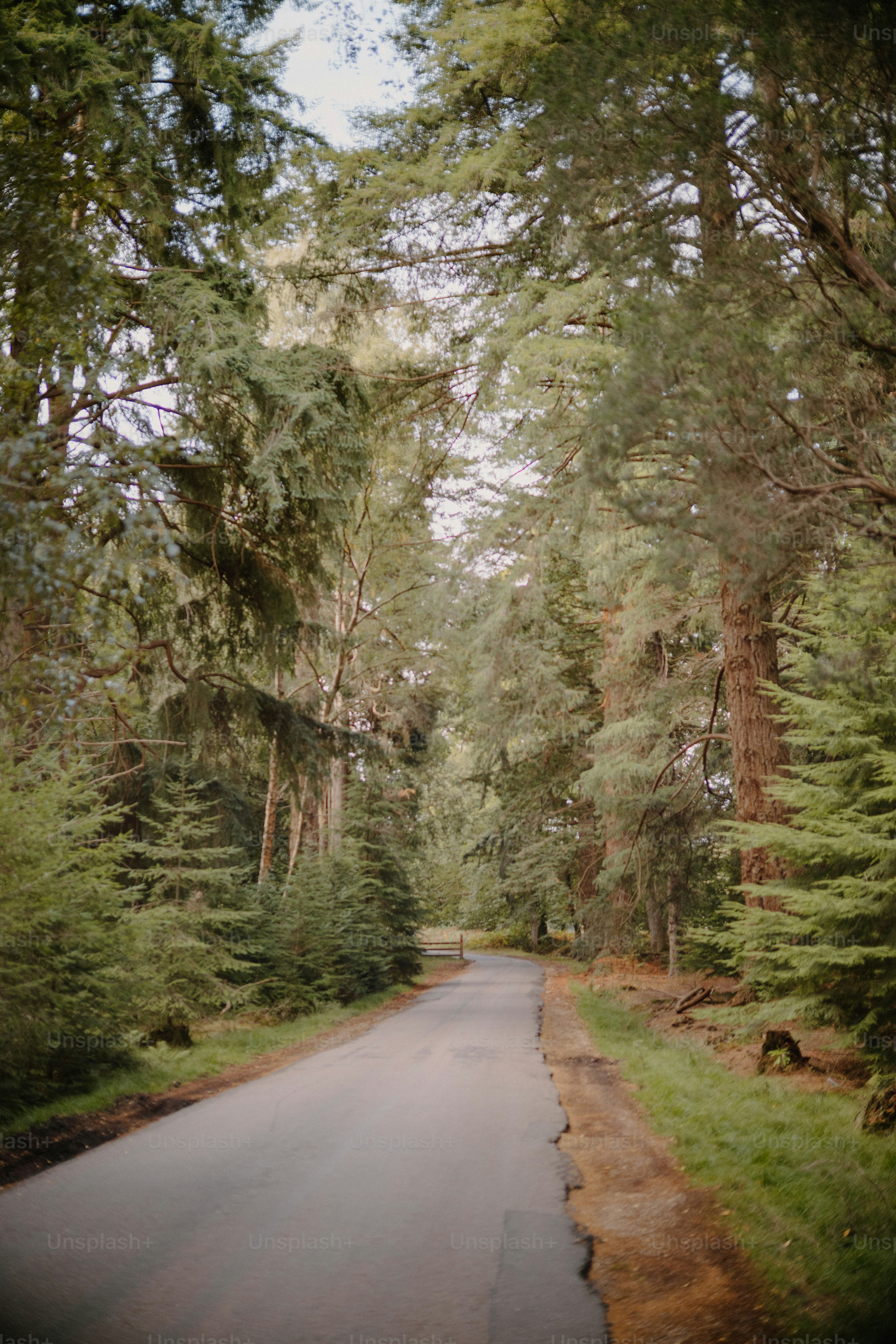 Mount Morris, Illinois