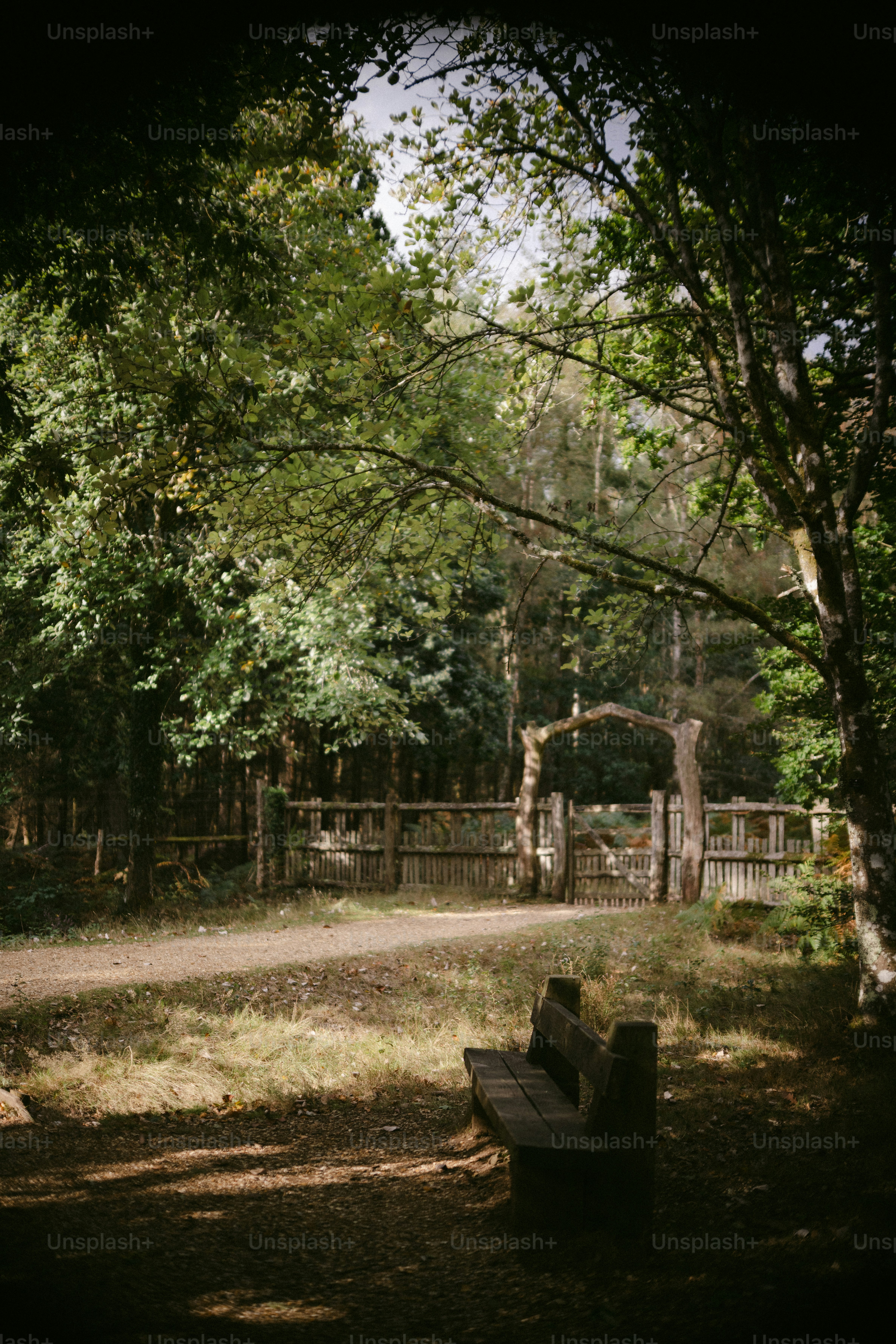 Holzbank vor einem urigen Waldtor.