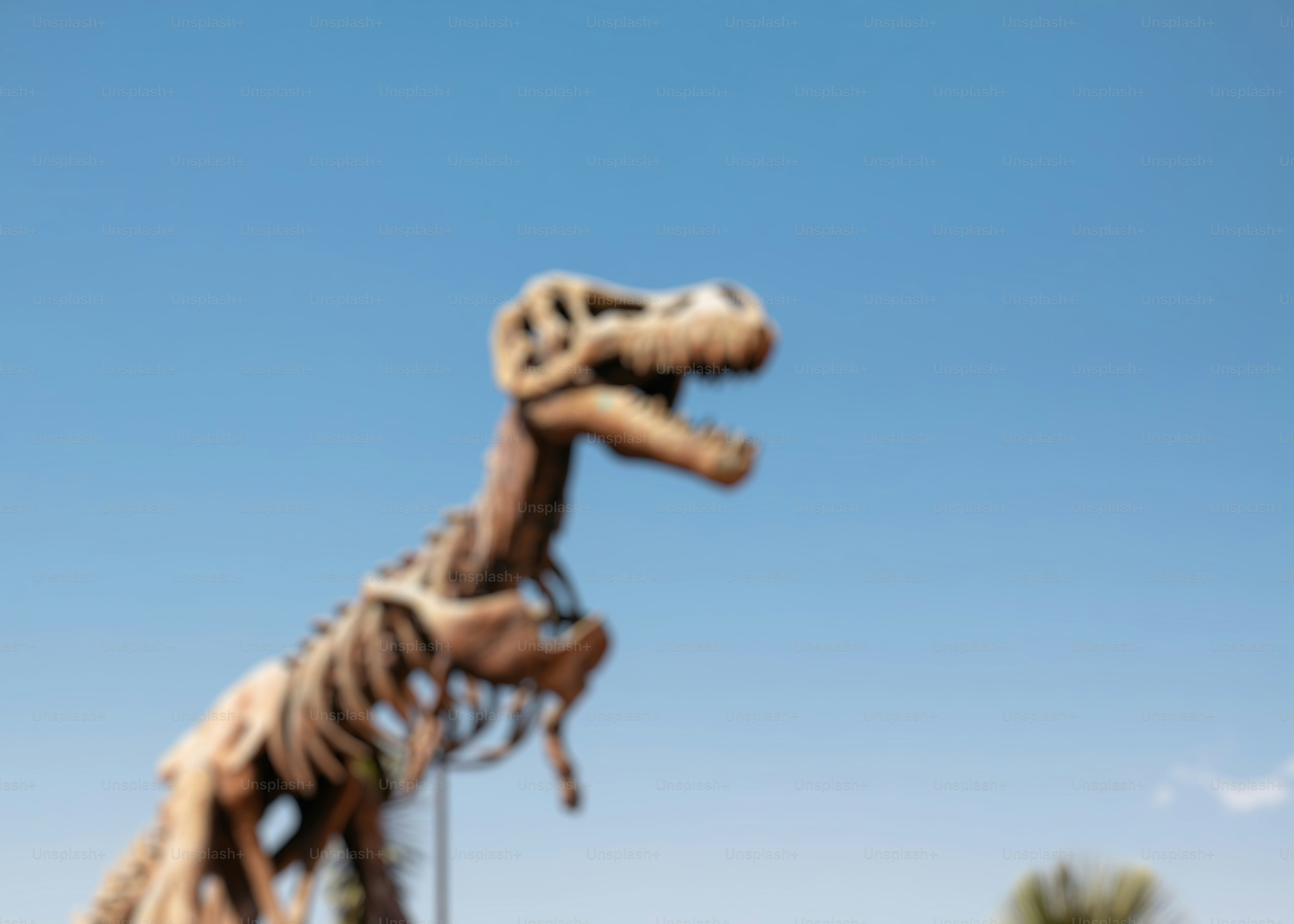 Dinosaur skeleton against a clear blue sky