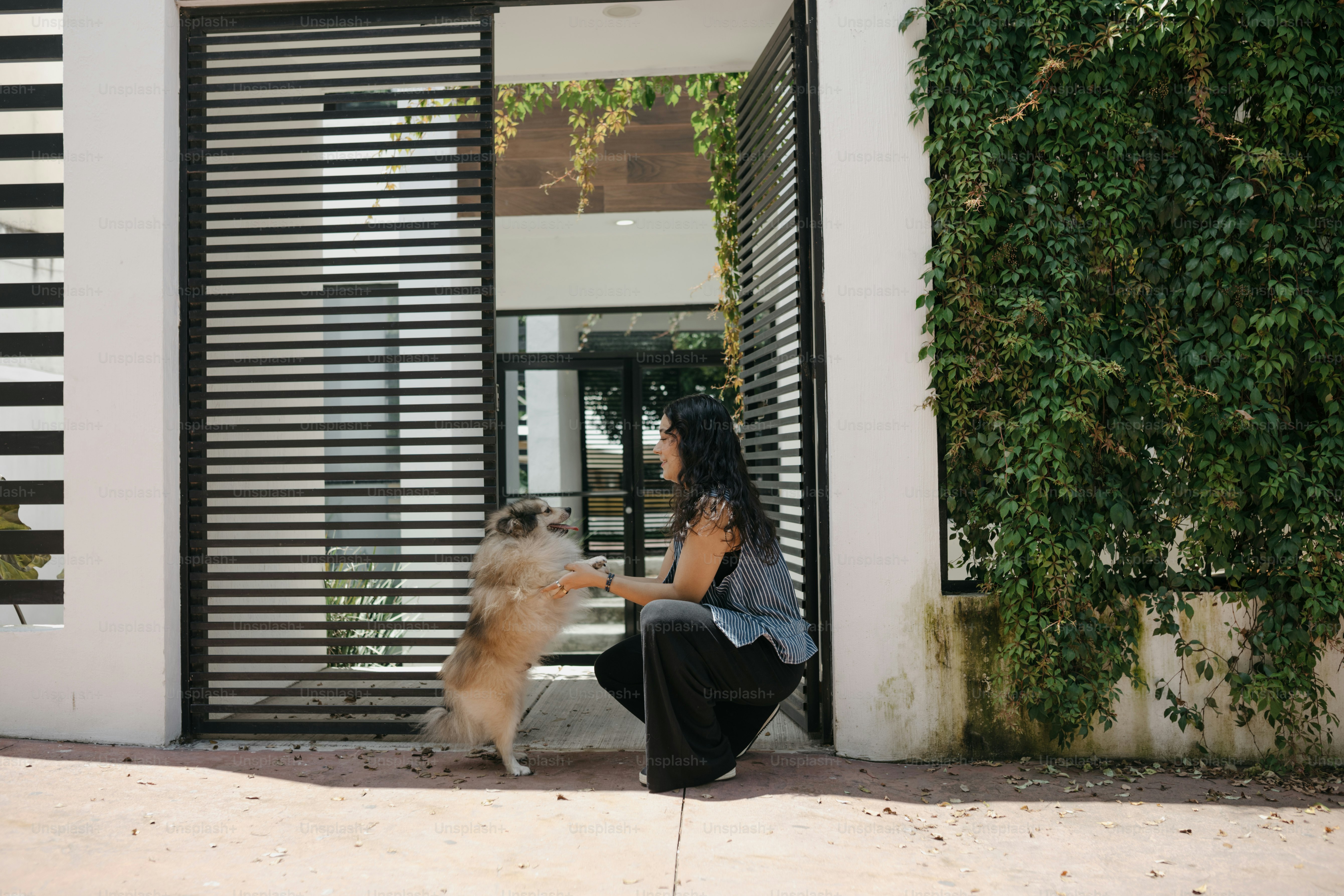 Mujer joven sosteniendo un perro esponjoso al aire libre foto – Imagen ...