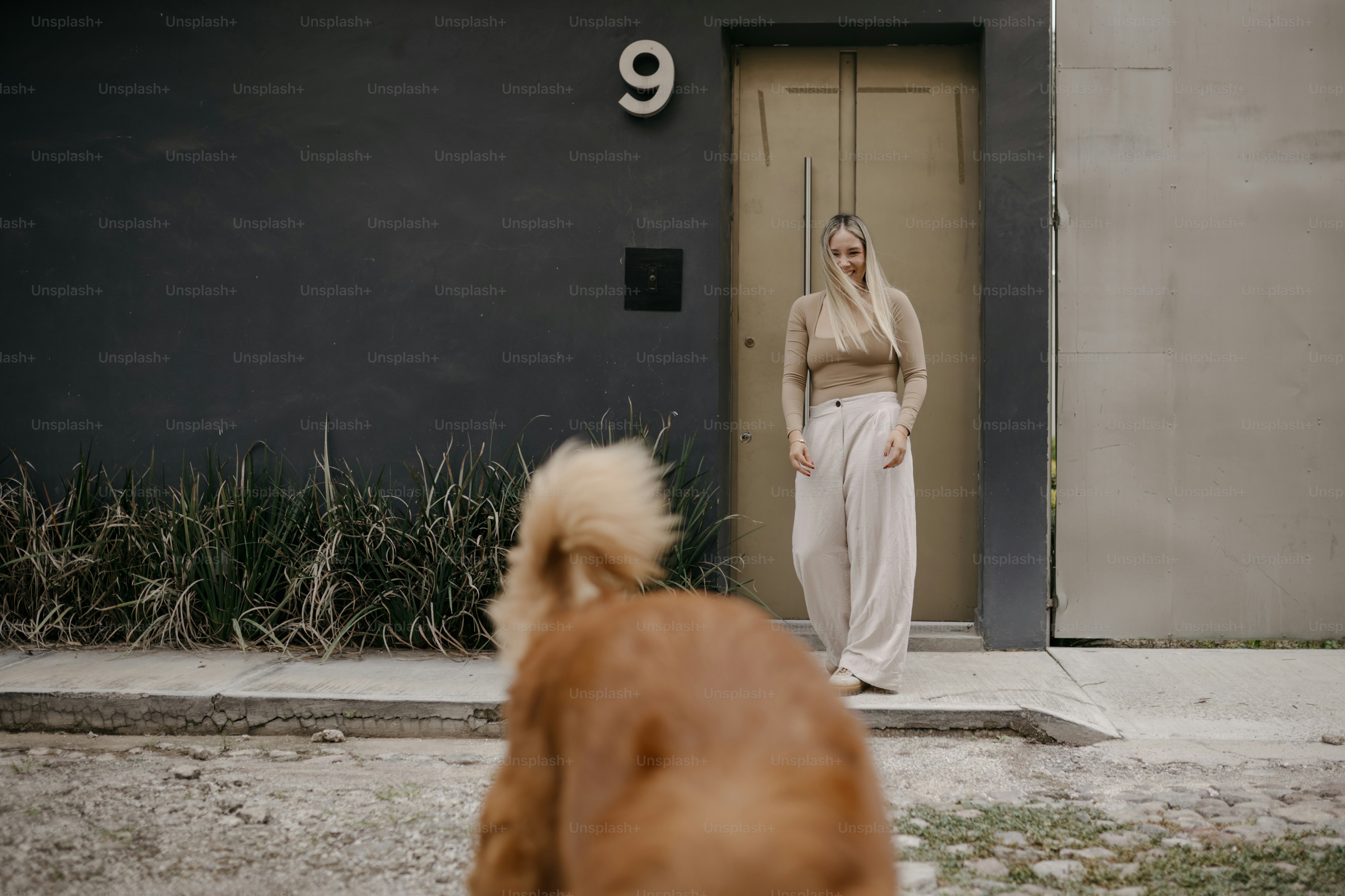 Mujer joven sosteniendo un perro esponjoso al aire libre foto – Imagen ...
