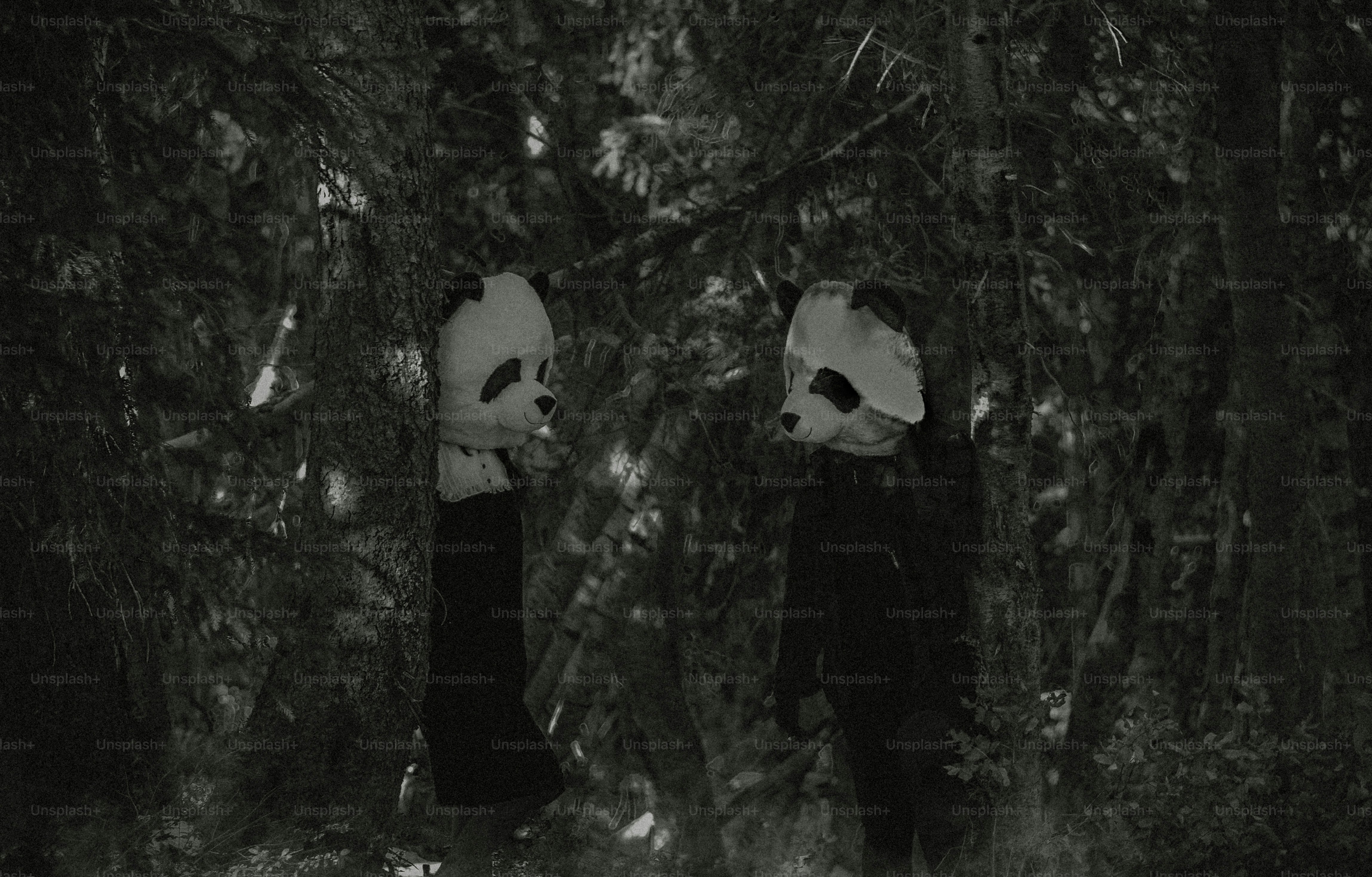 Two panda masks hanging on a tree