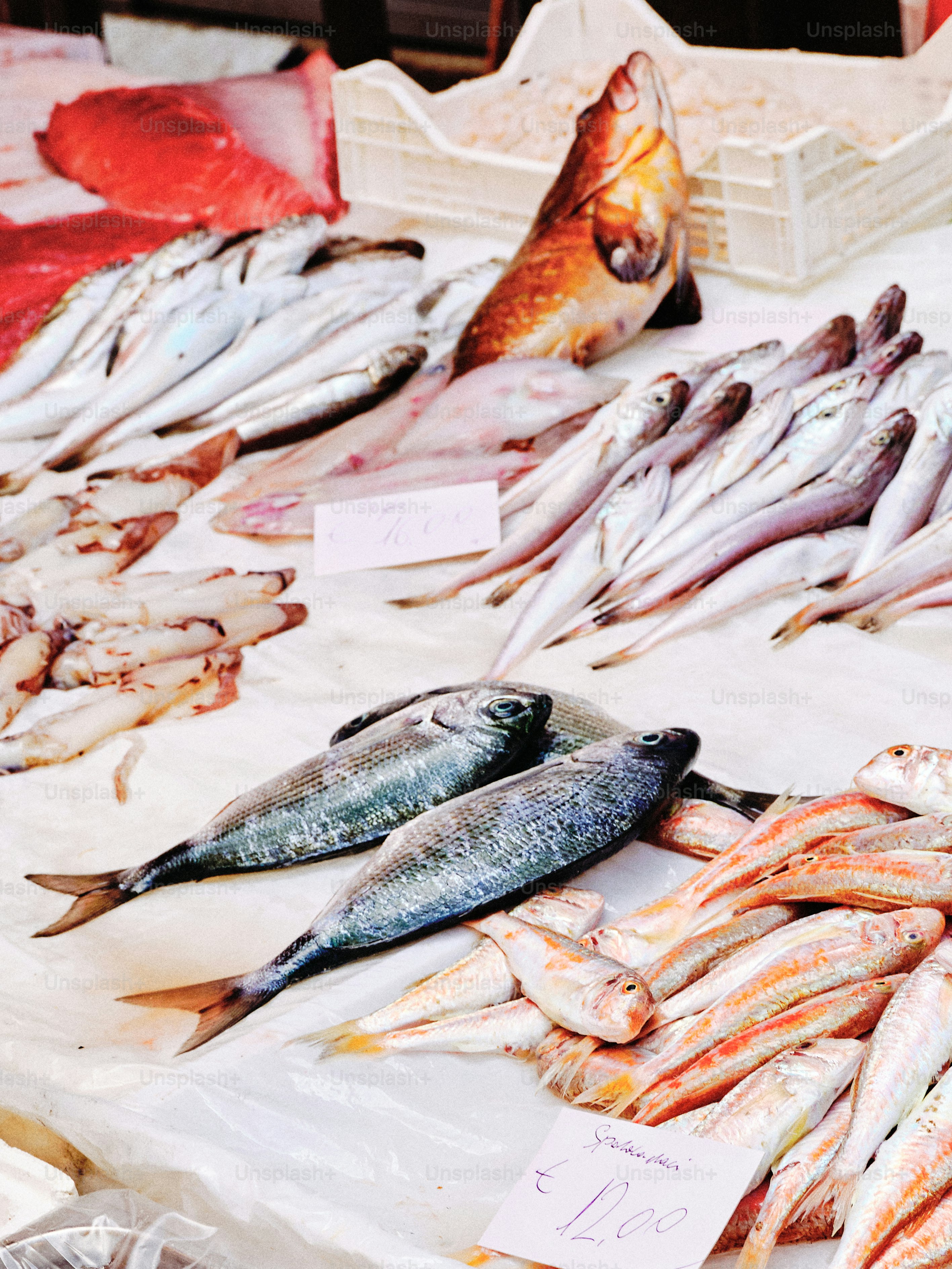 Fresh fish displayed at a market stall.