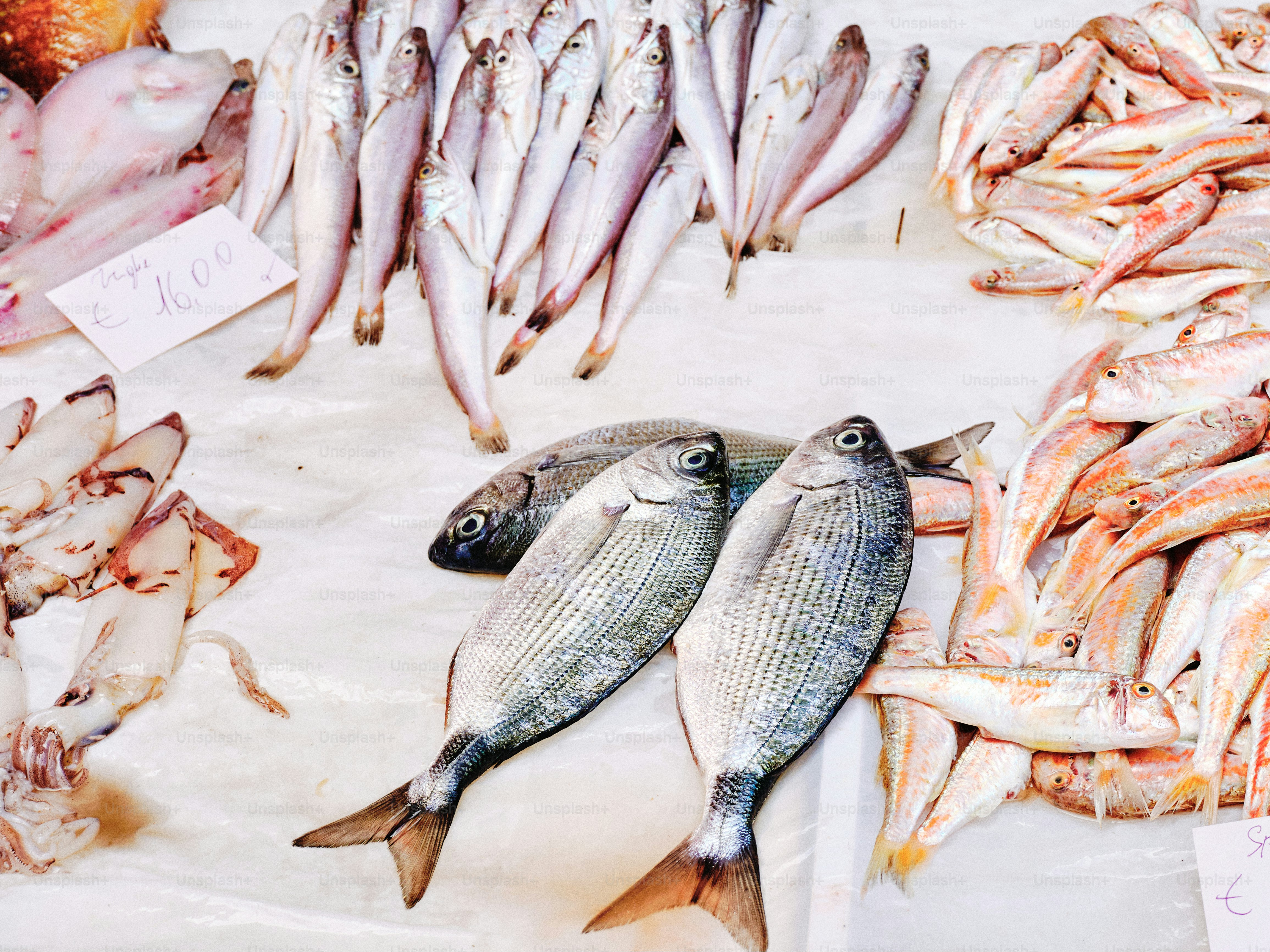 Ikan segar dipajang di warung pasar