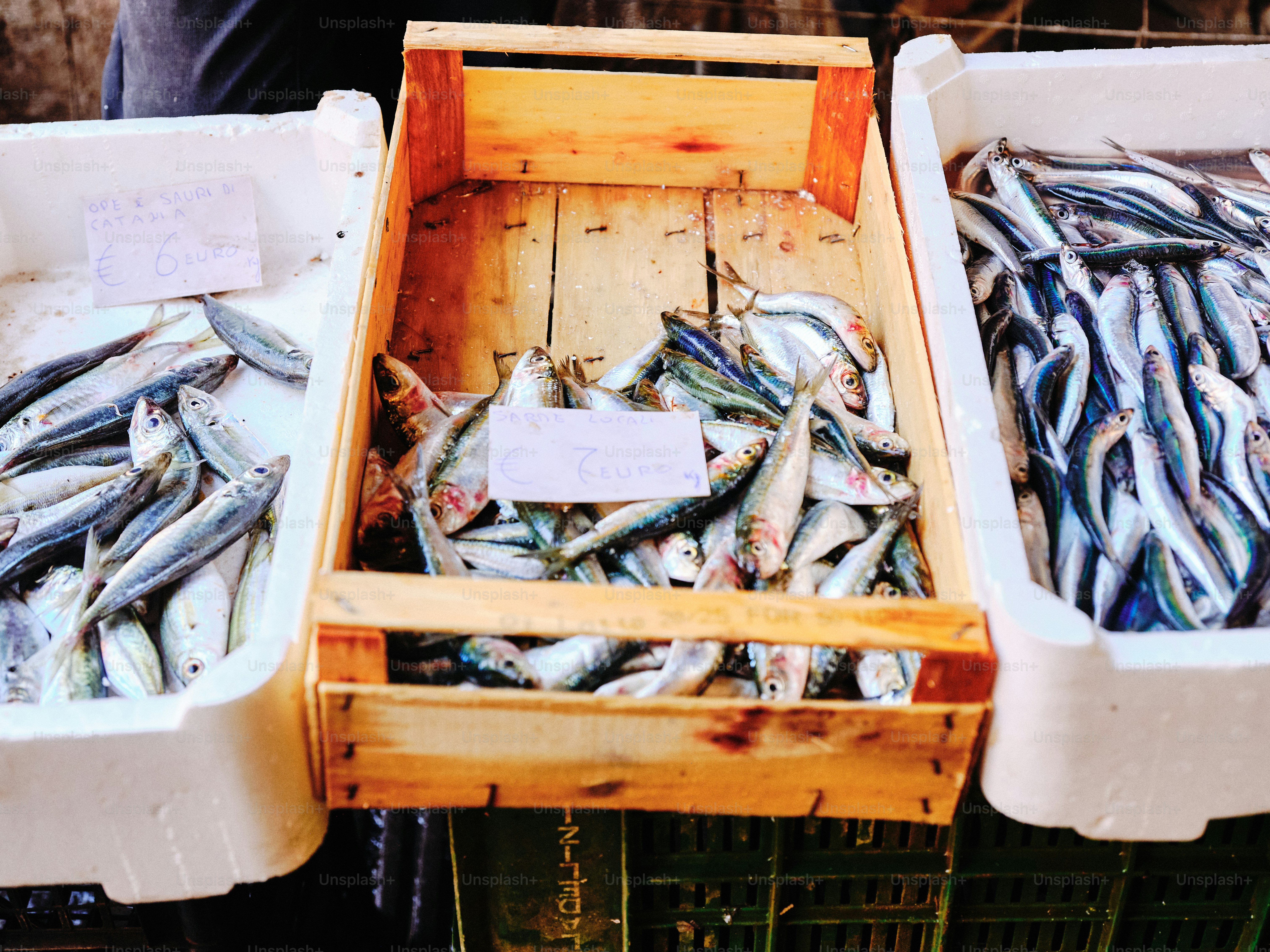 Ikan segar ditampilkan dalam peti kayu dan wadah.