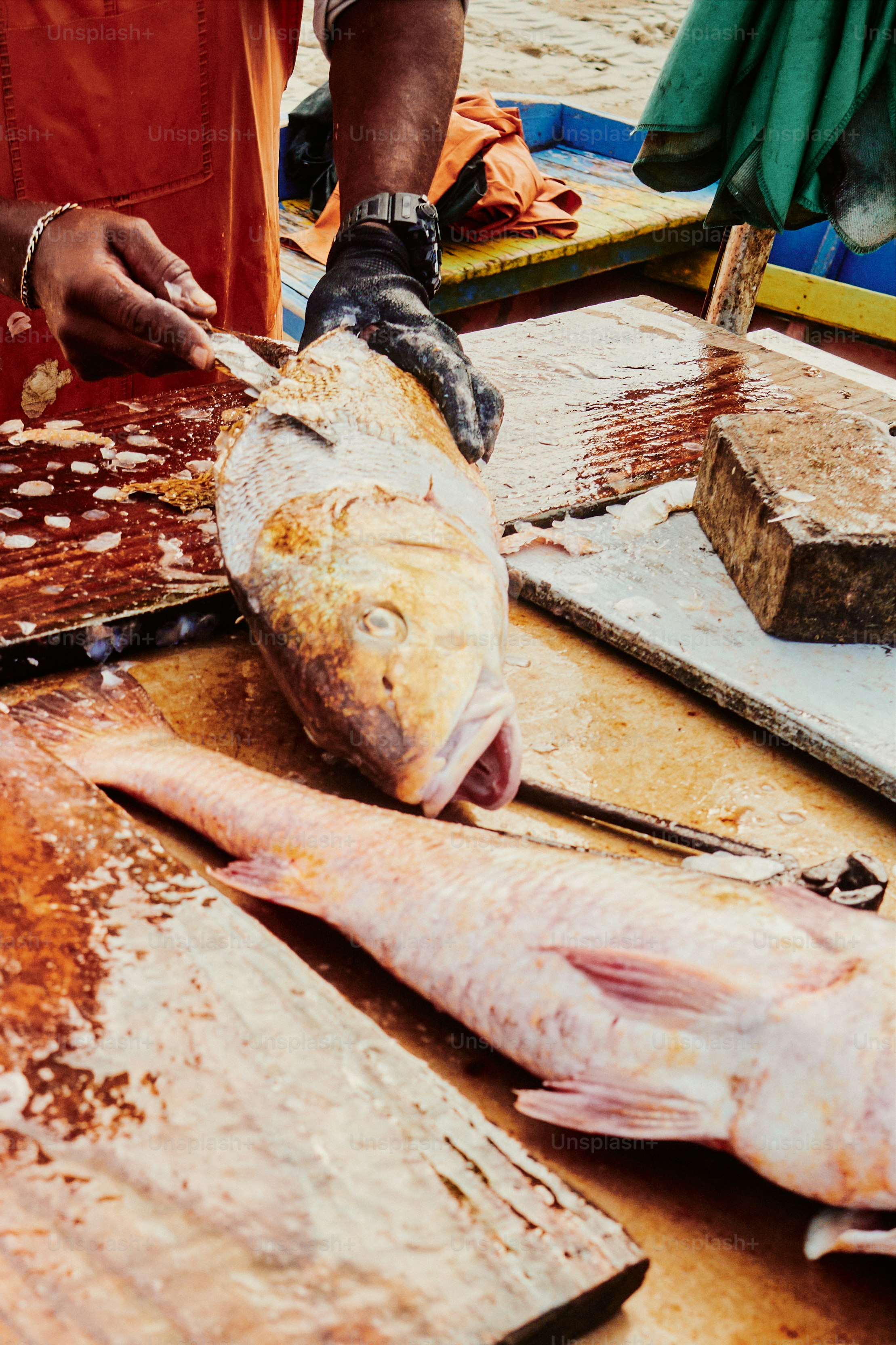 A person prepares fresh fish on a wooden table. photo – Fish Image on ...