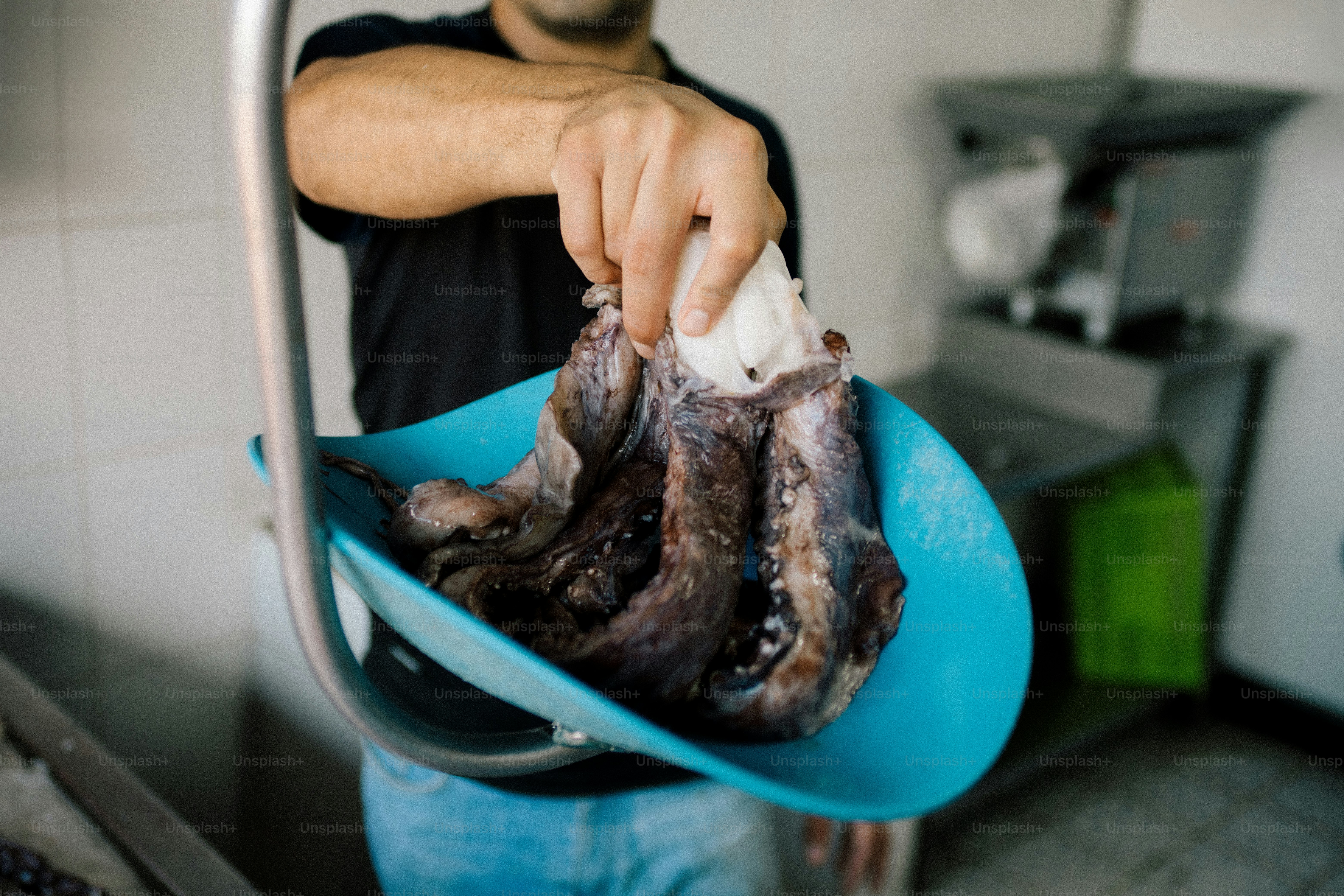 A person weighing a fresh octopus on a scale