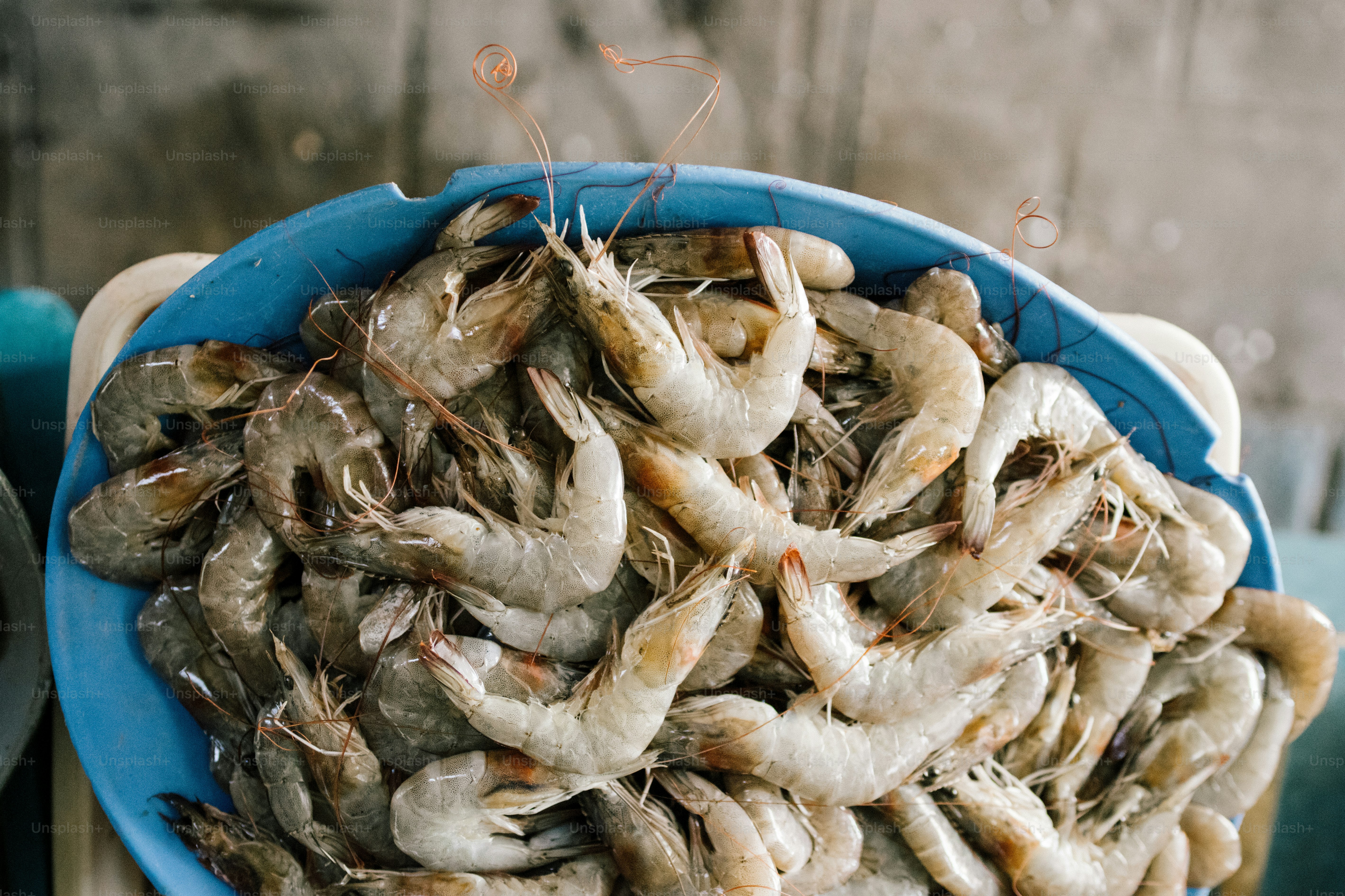 A large blue bowl filled with fresh shrimp.