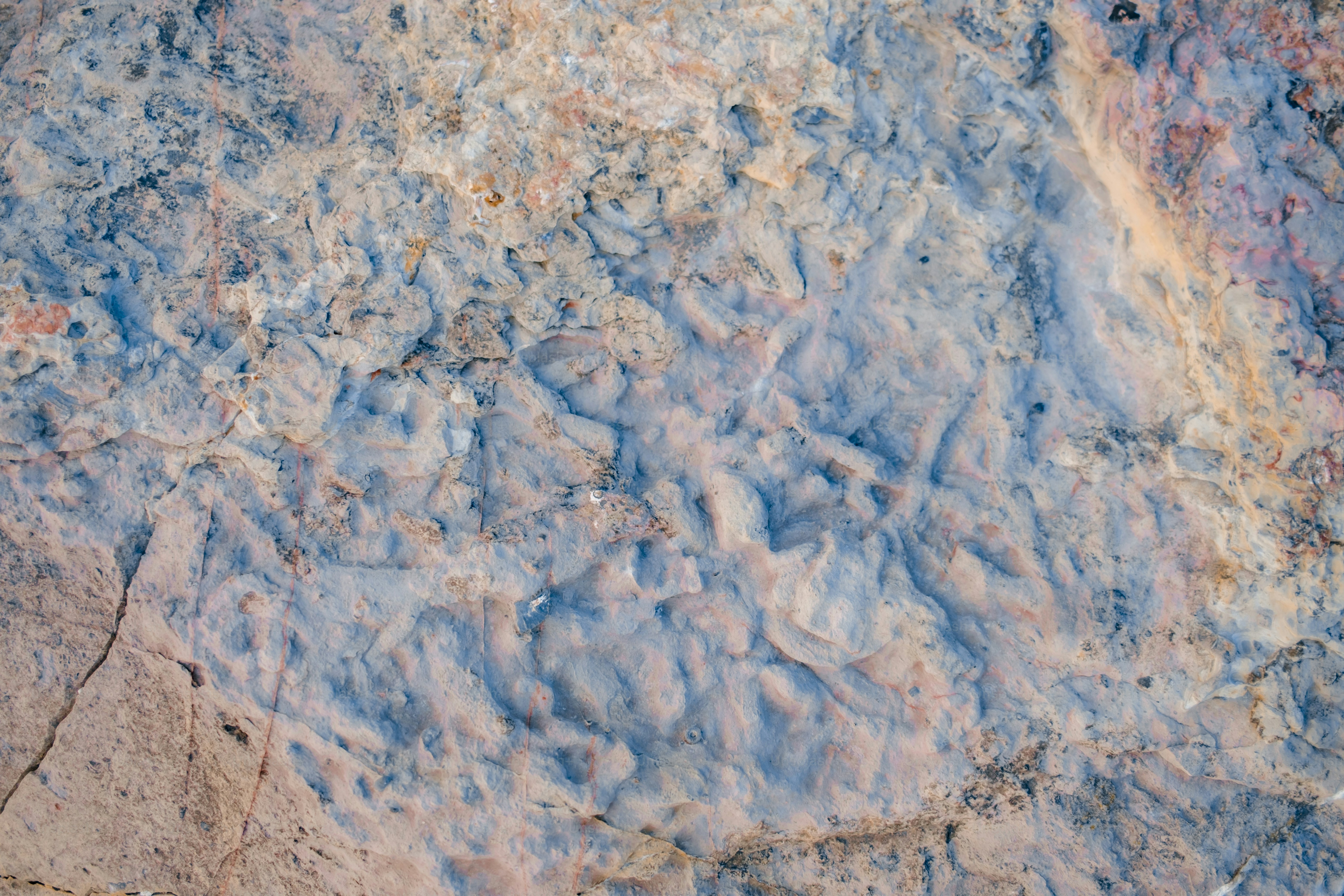 Close-up of ancient fossilized worm burrows in rock. photo – Background ...