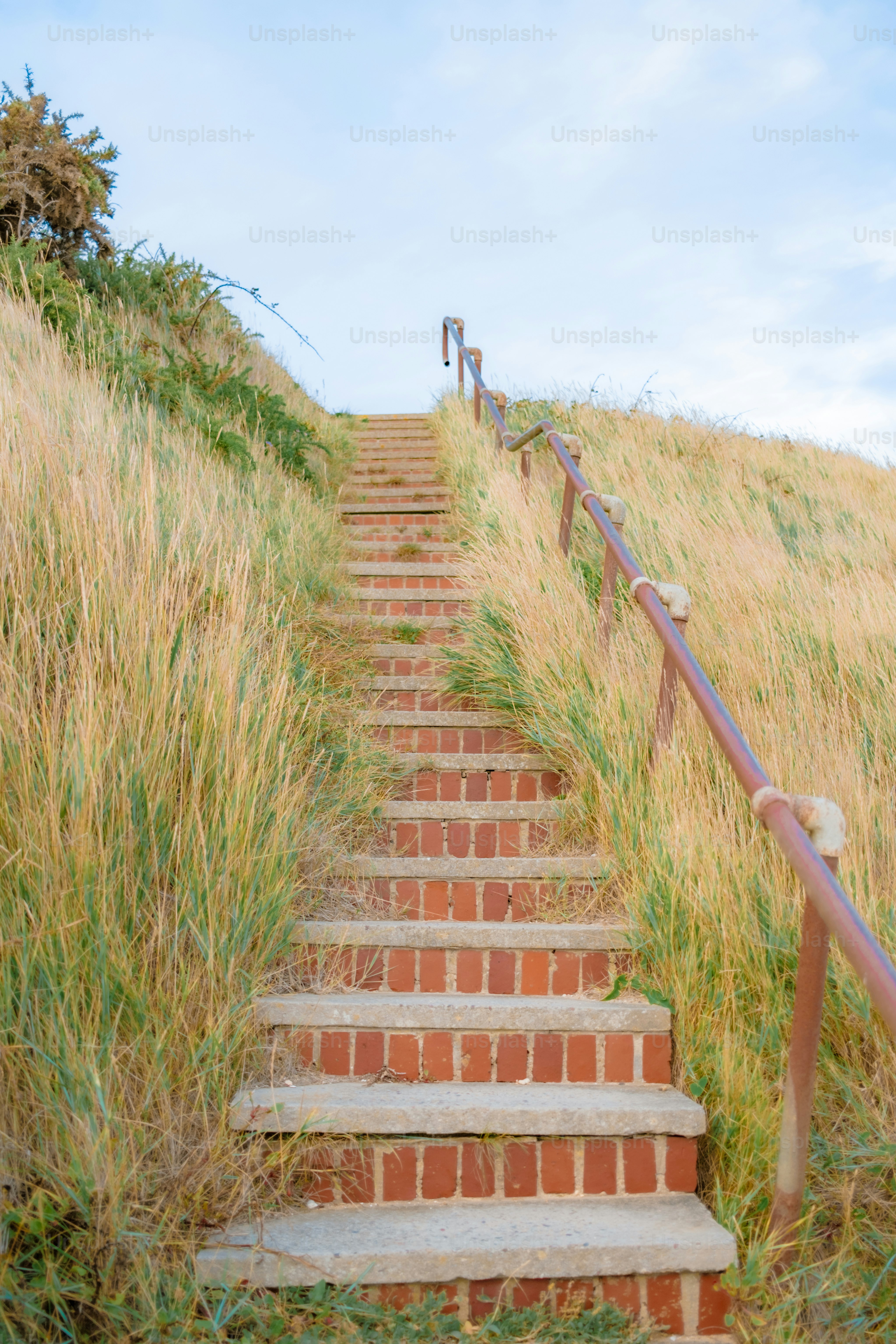 Brick stairs ascend a grassy hill with railings.