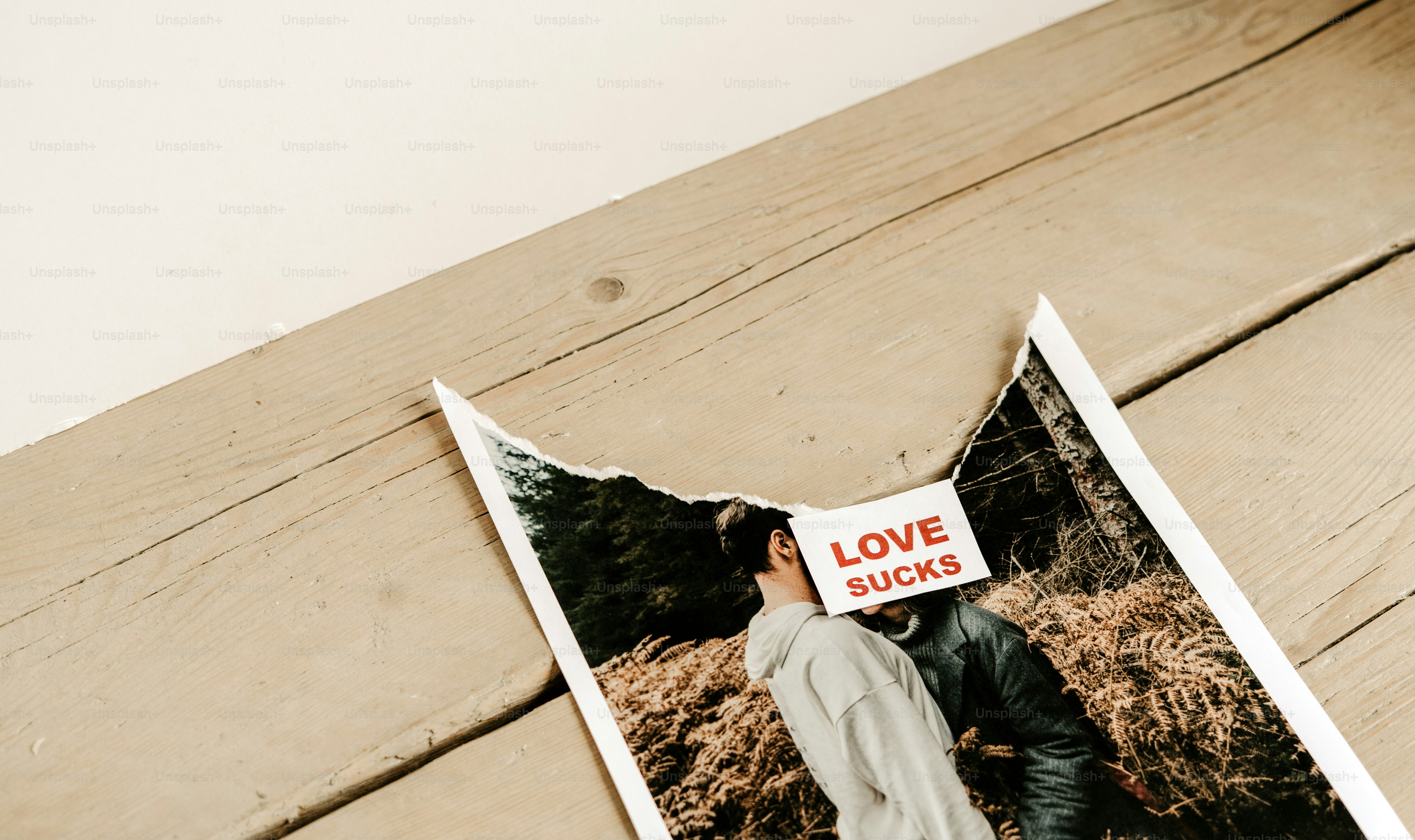 Torn photograph with "love sucks" sticker.