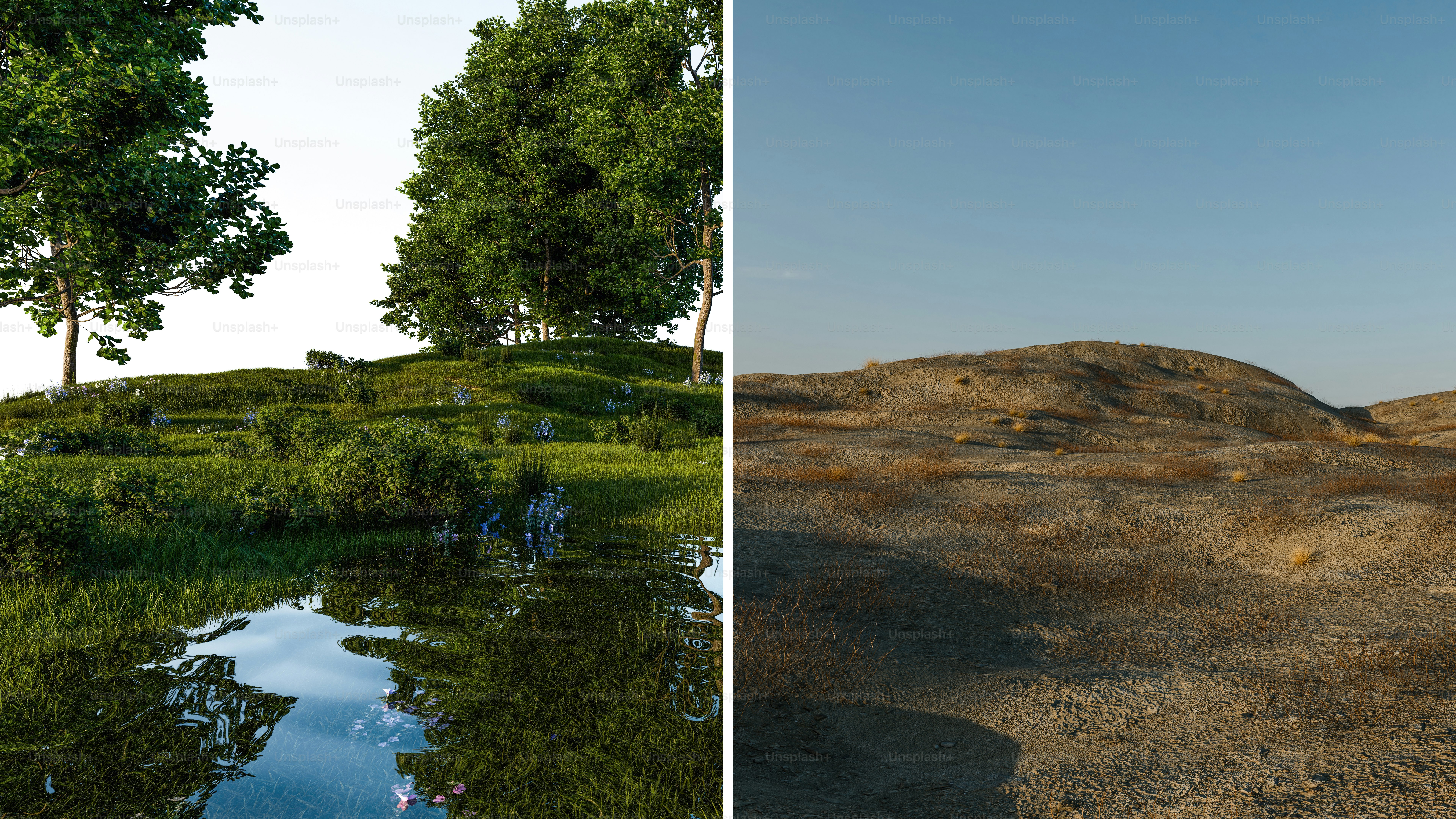 Lush green landscape beside a dry, rocky terrain